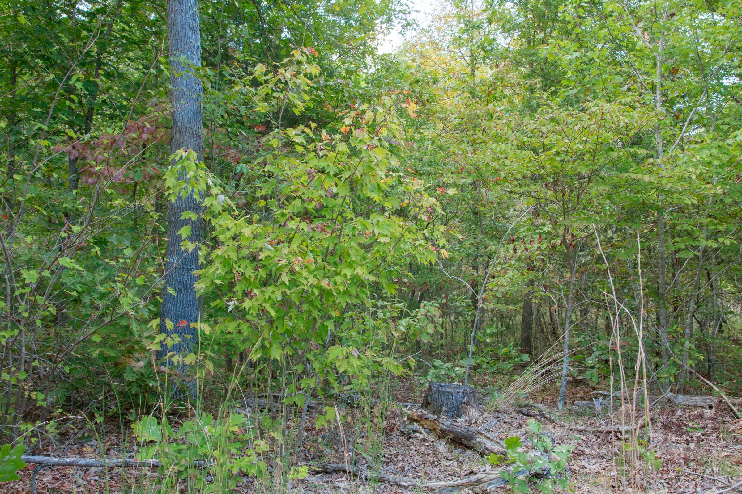 Wagon Wheel Ranch Tract 19 photo 12
