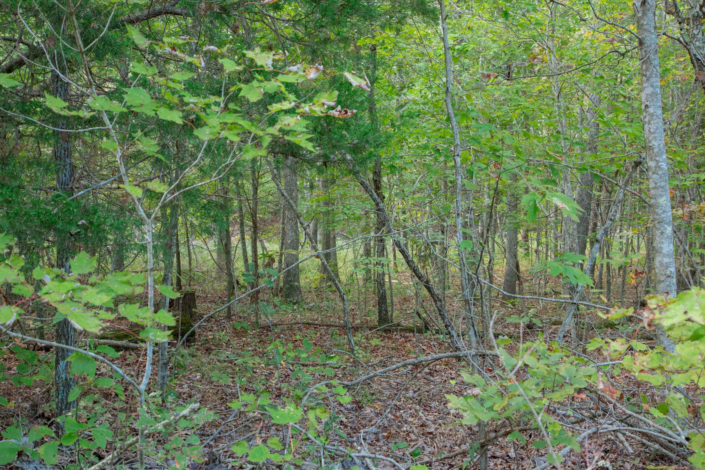 Wagon Wheel Ranch Tract 19 photo 14