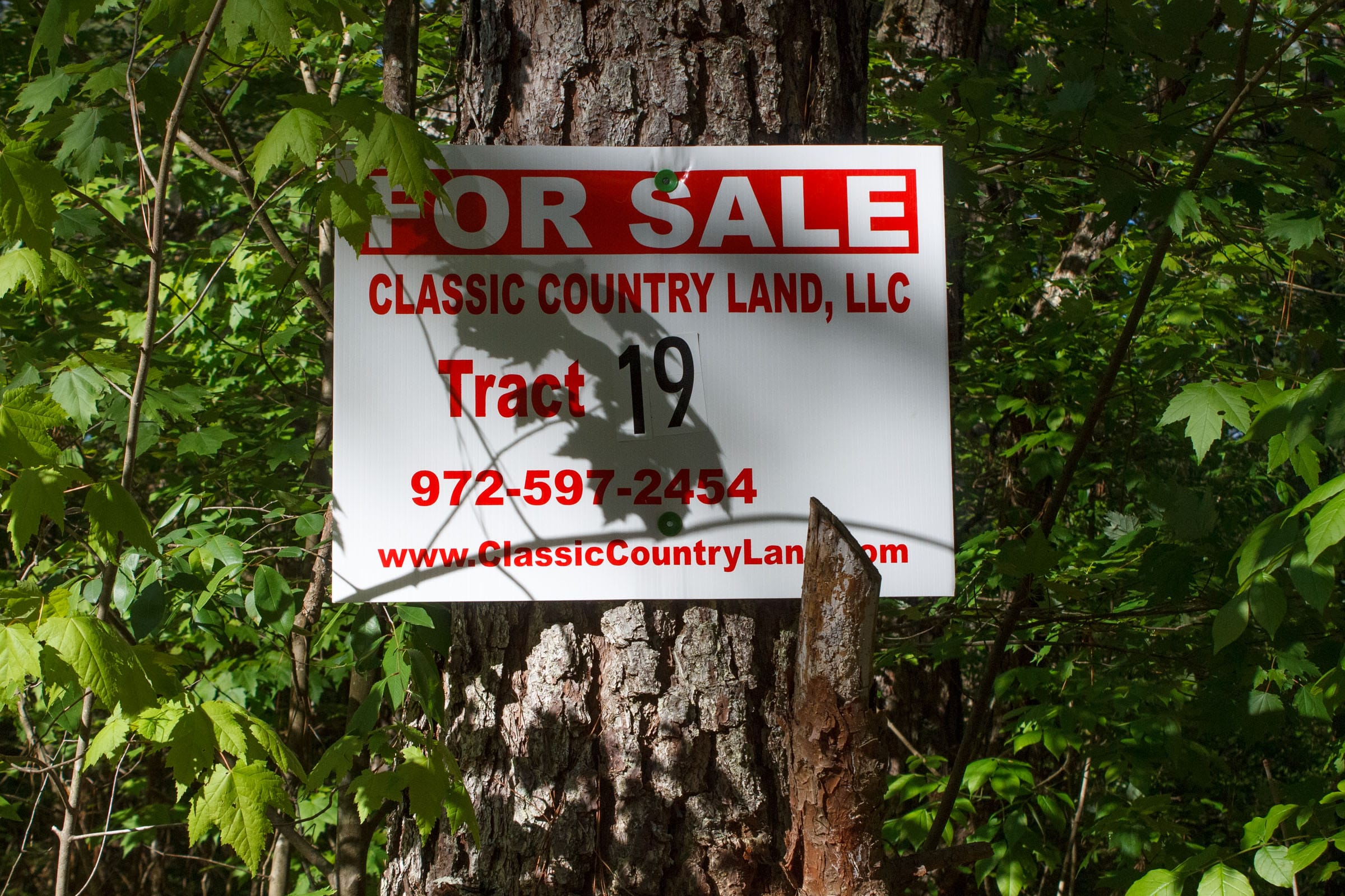 Riverbend Tract 19 photo 1