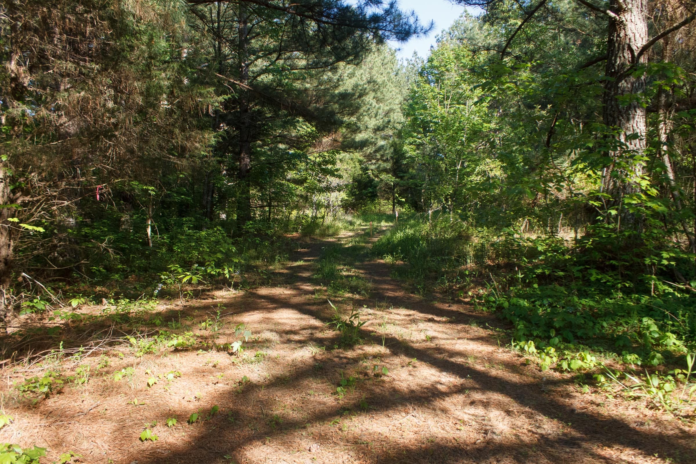 Riverbend Tract 19 photo 2