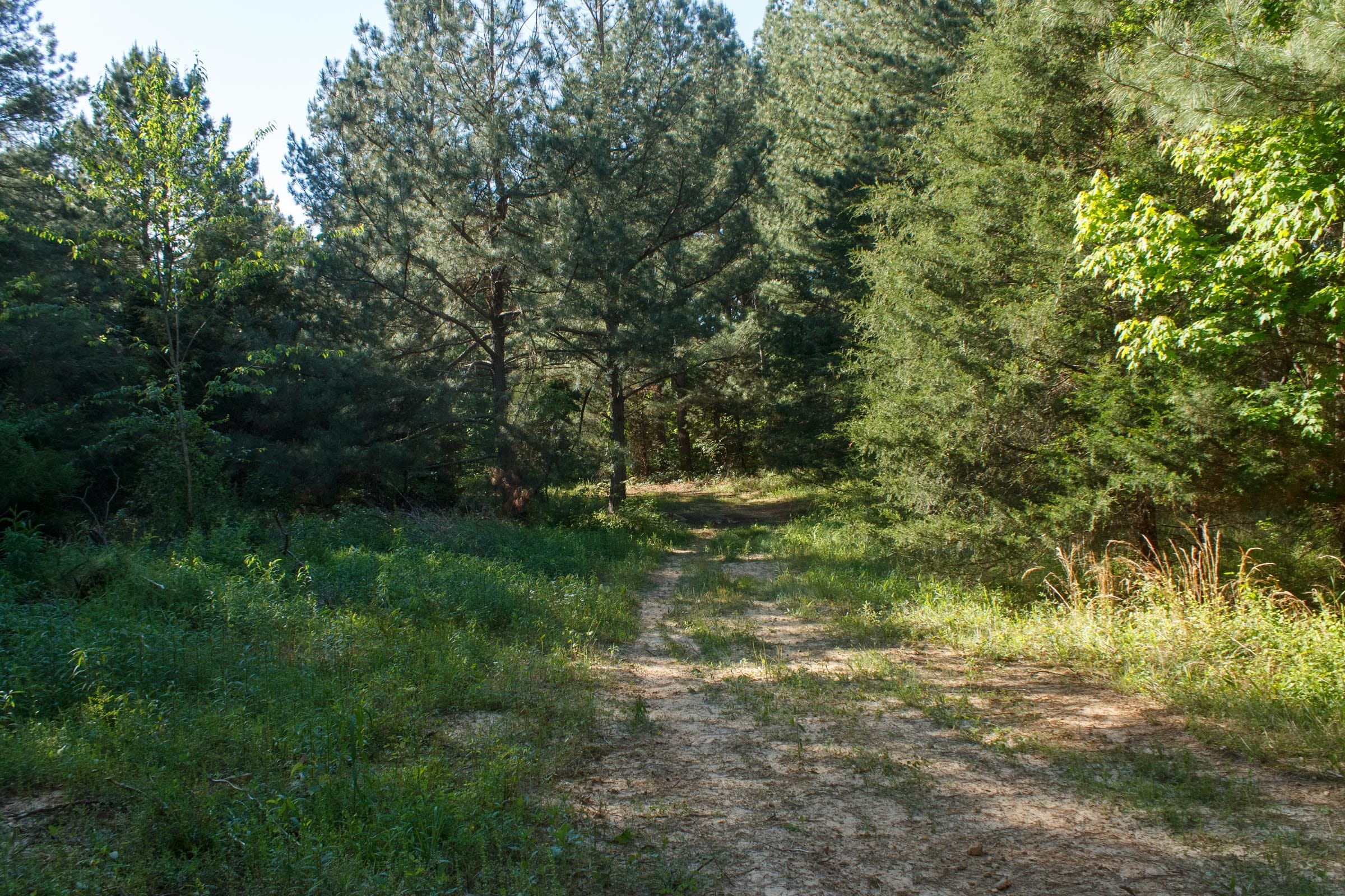 Riverbend Tract 19 photo 3