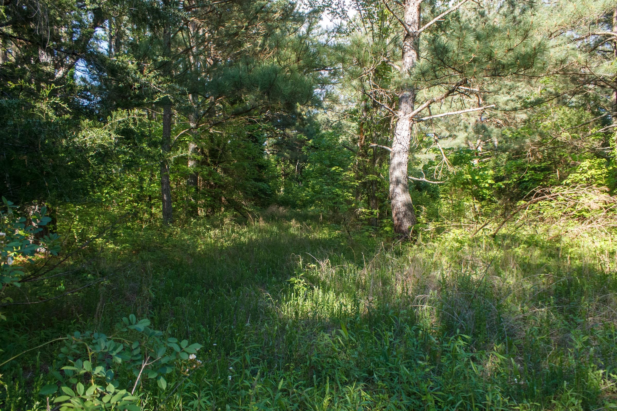 Riverbend Tract 19 photo 8
