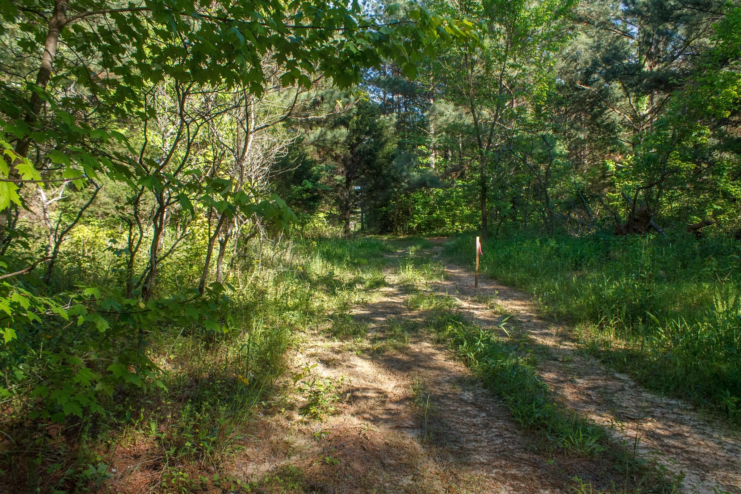 Riverbend Tract 19 photo 12