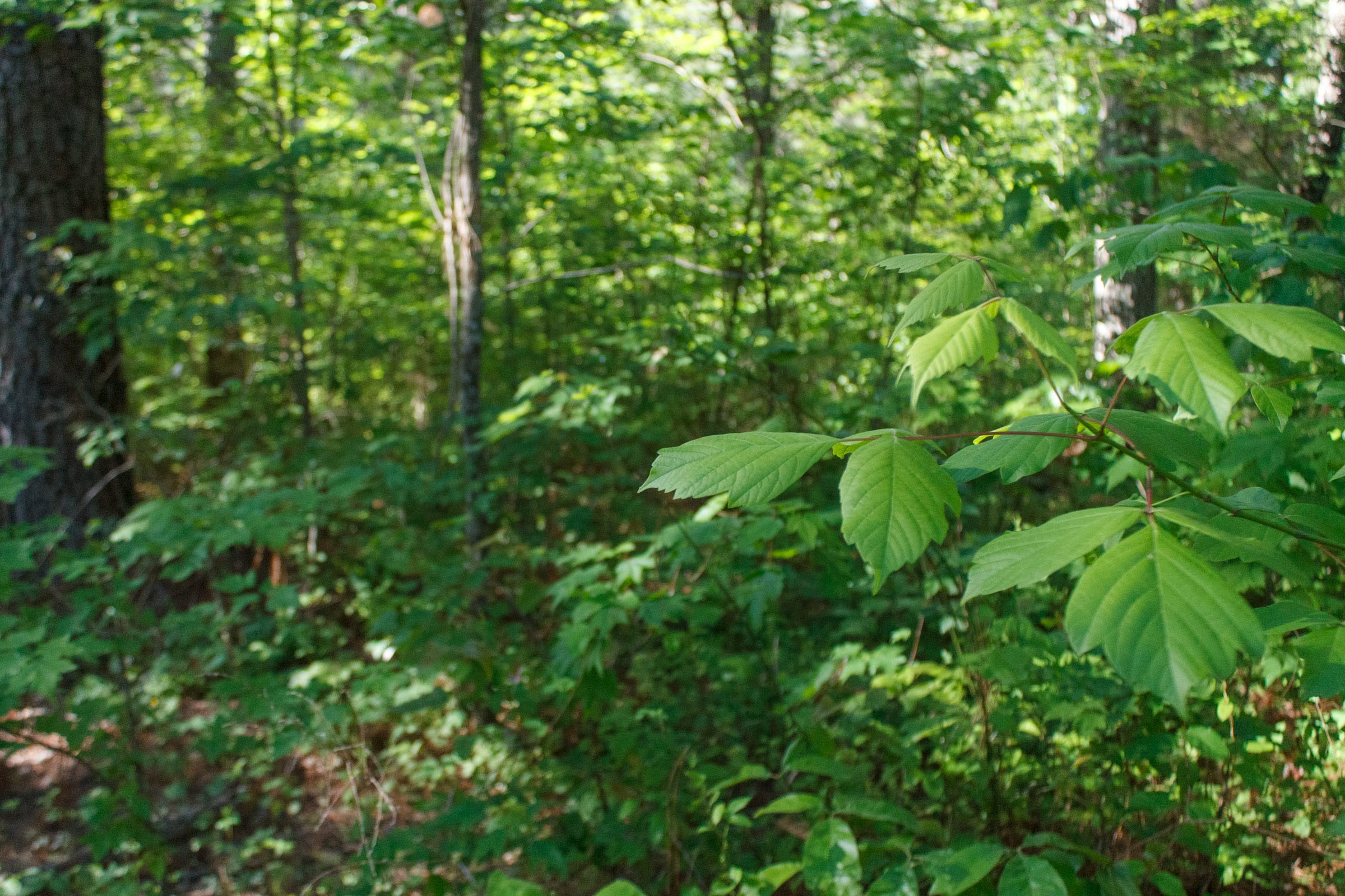 Riverbend Tract 19 photo 14
