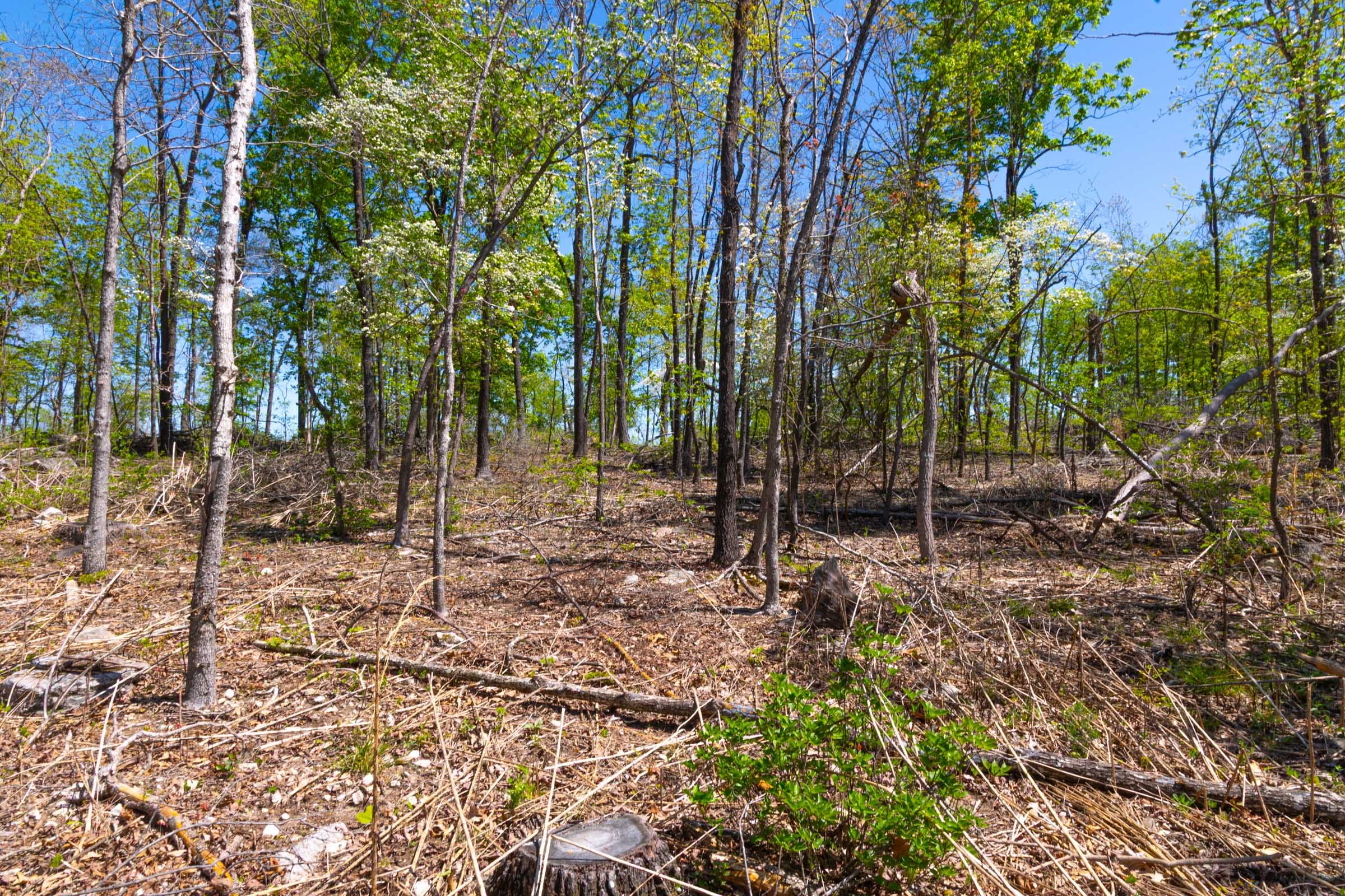 Lazybrook Tract 13 photo 13