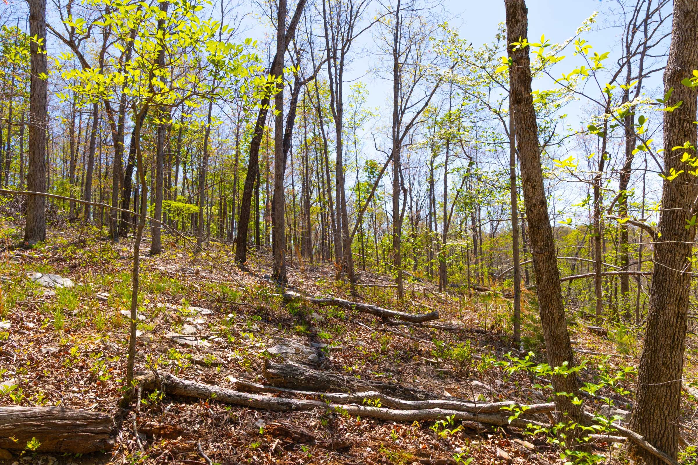 Lazybrook Tract 13 photo 9