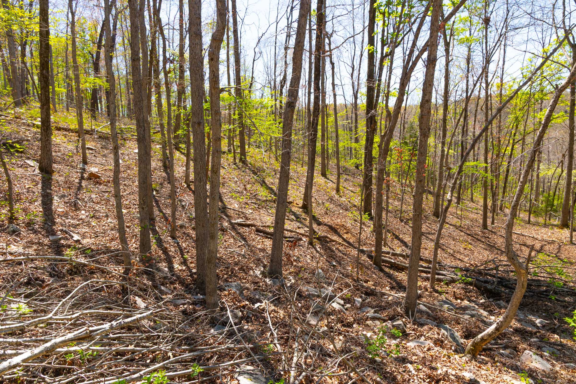 Lazybrook Tract 13 photo 10