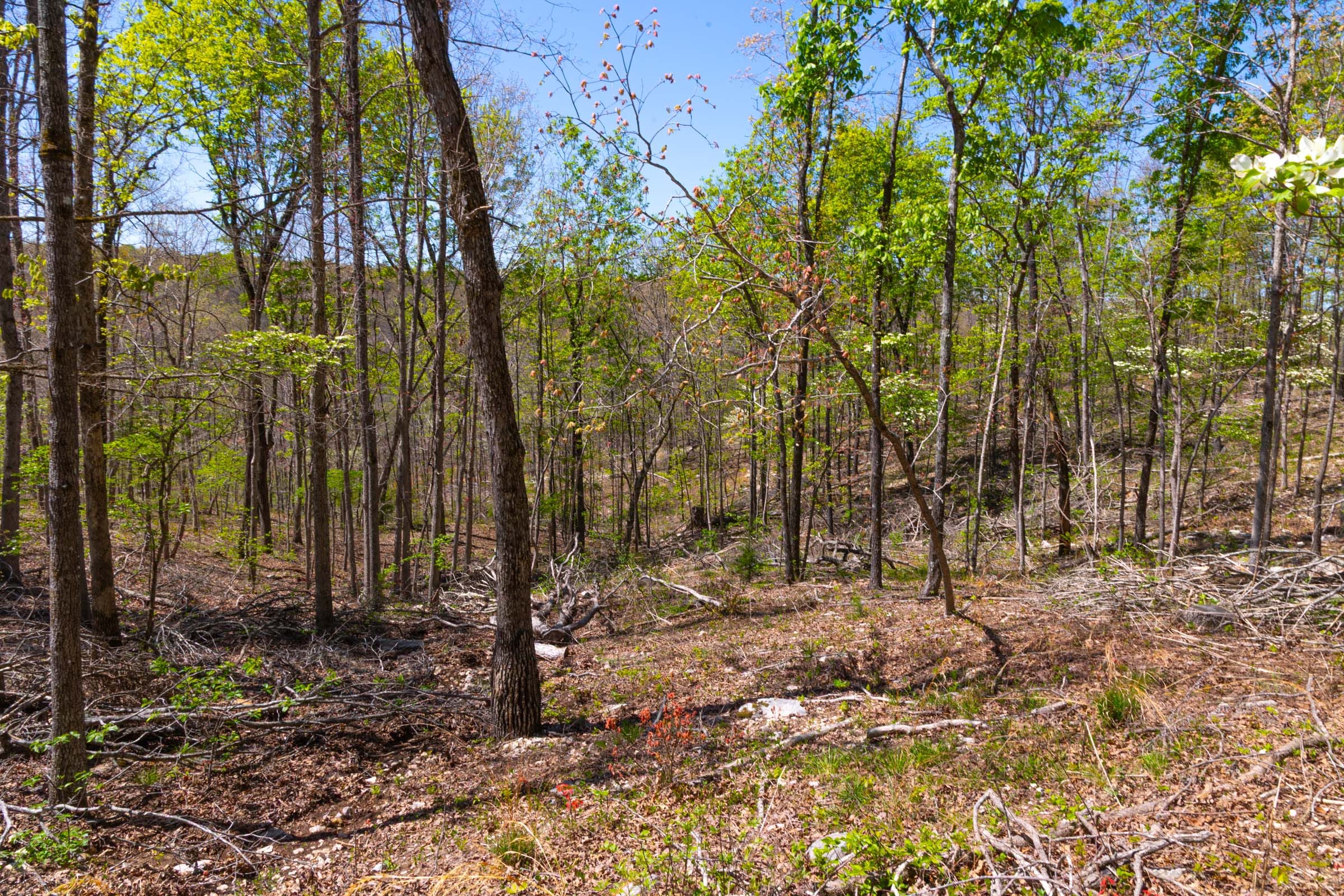 Lazybrook Tract 13 photo 12