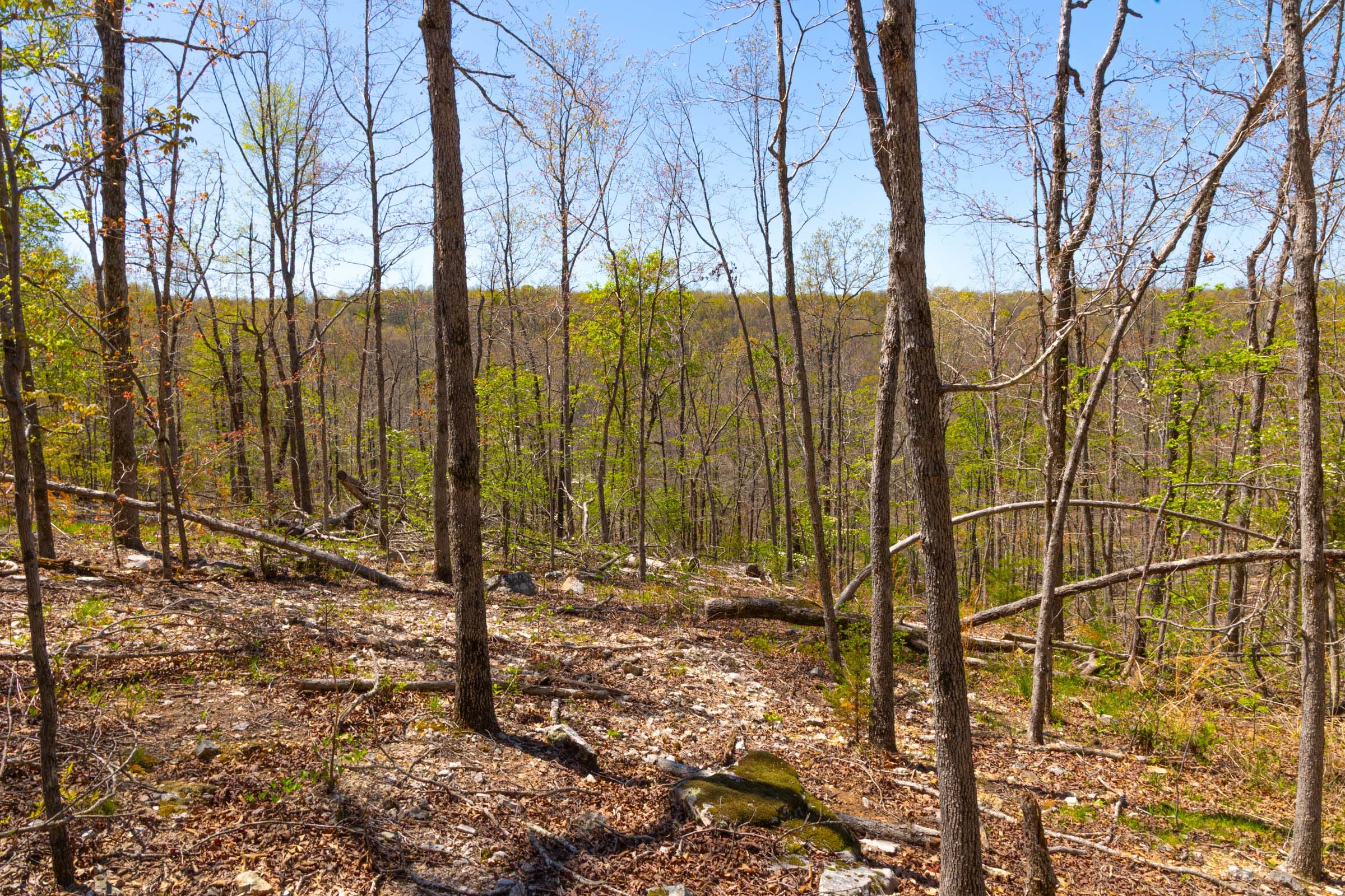 Lazybrook Tract 13 photo 4