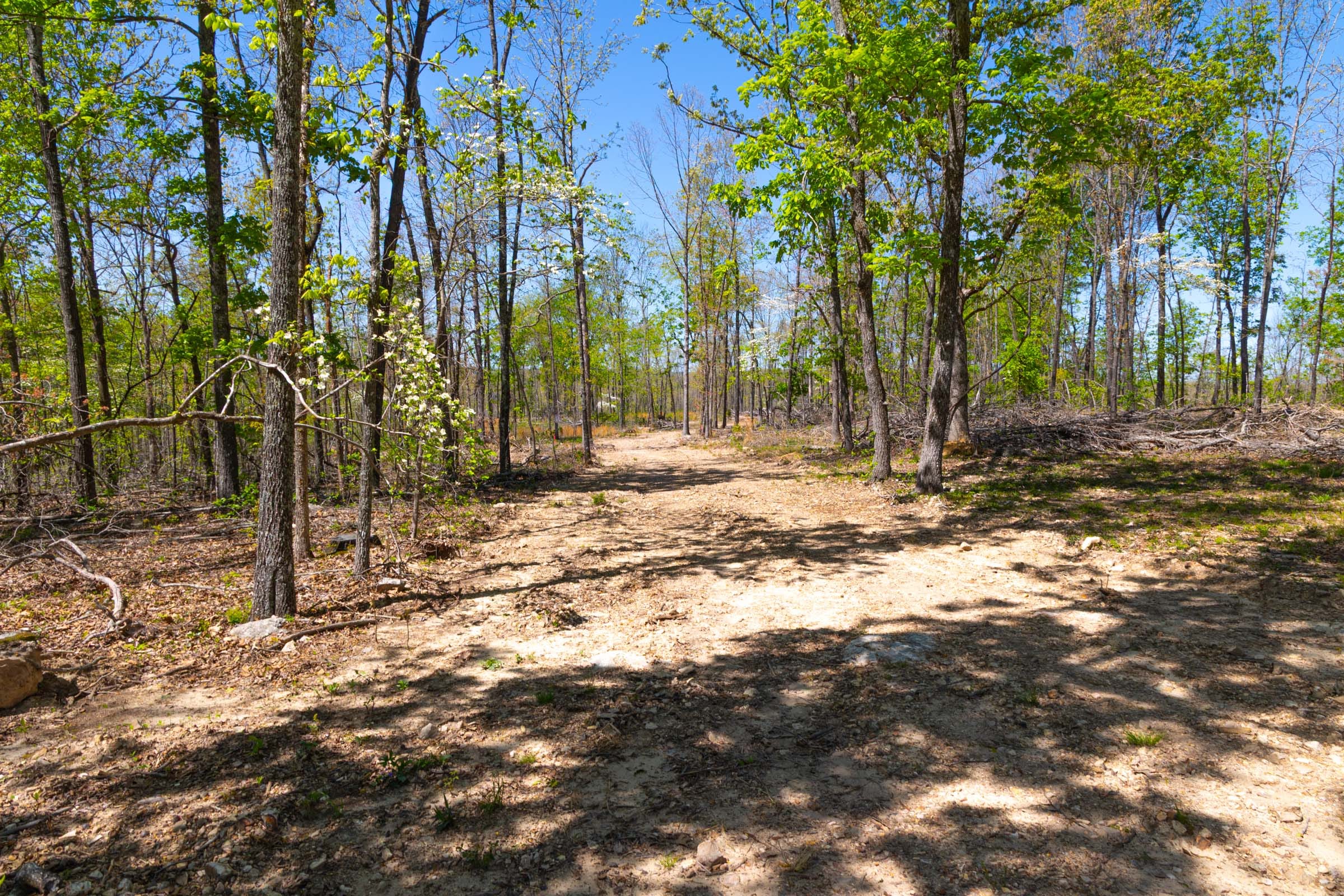 Lazybrook Tract 13 photo 2