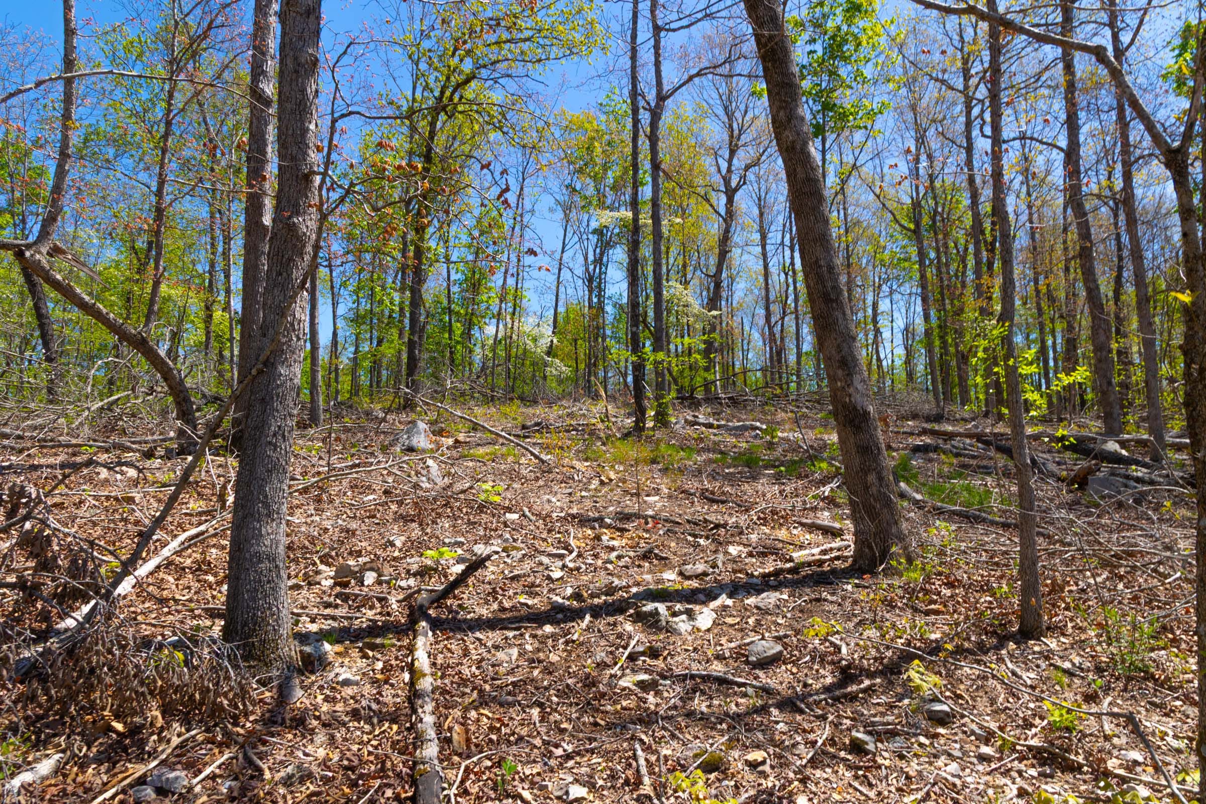 Lazybrook Tract 13 photo 3
