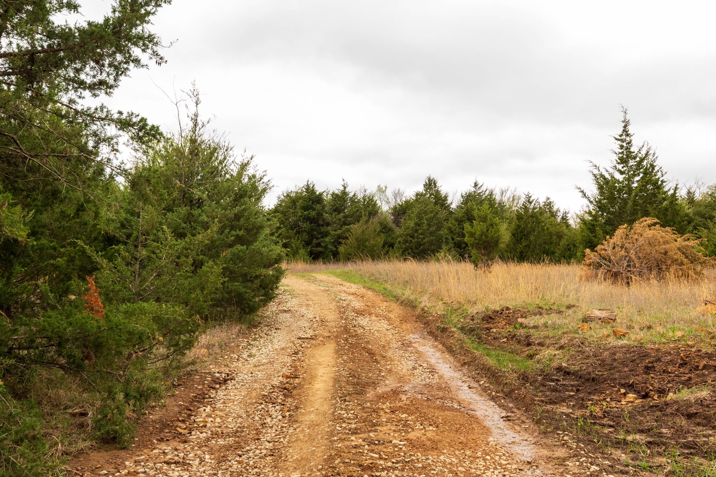 Moonrise Meadows Tract 13 photo 11