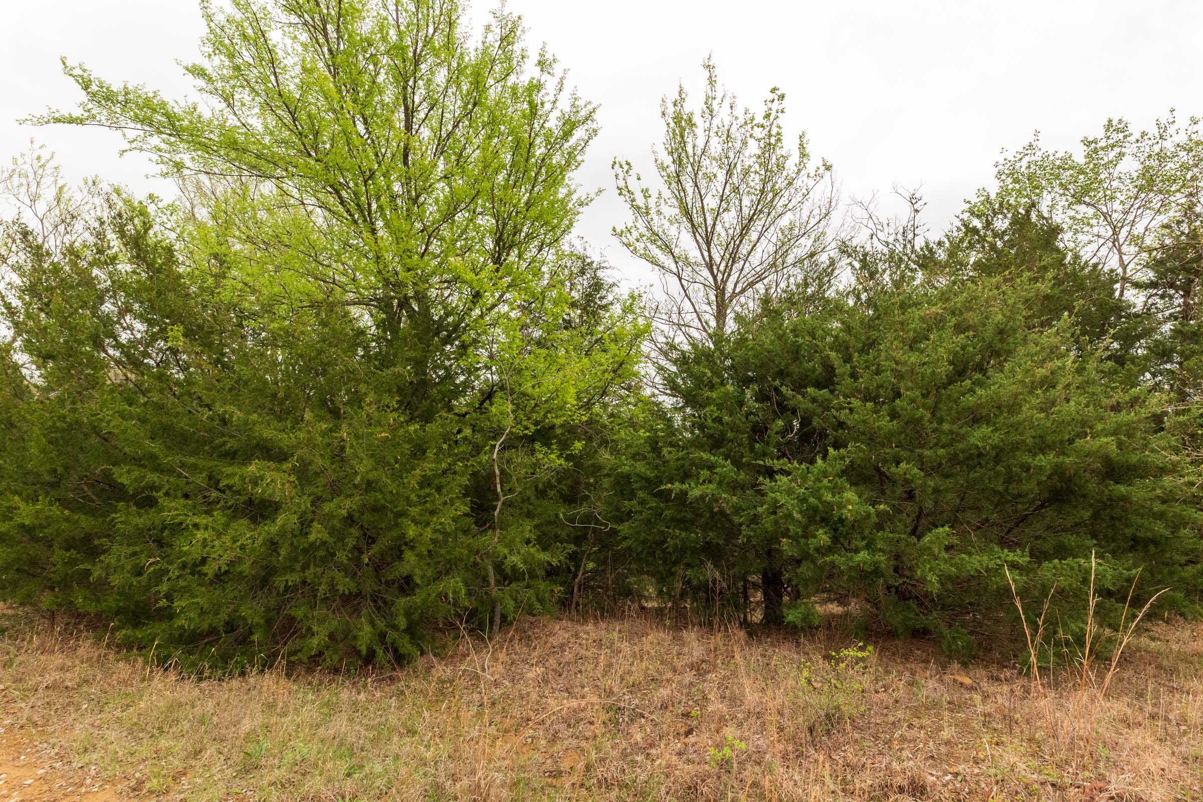 Moonrise Meadows Tract 13 photo 3