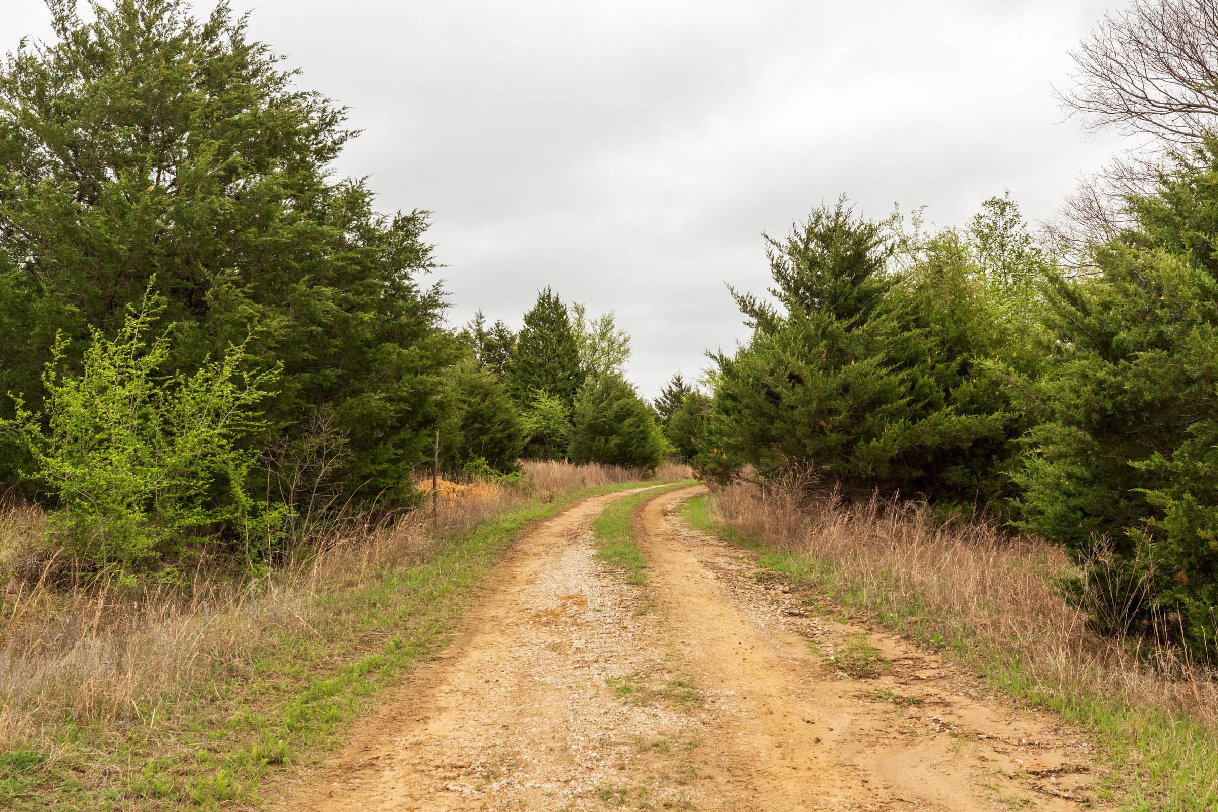 Moonrise Meadows Tract 13 photo 1