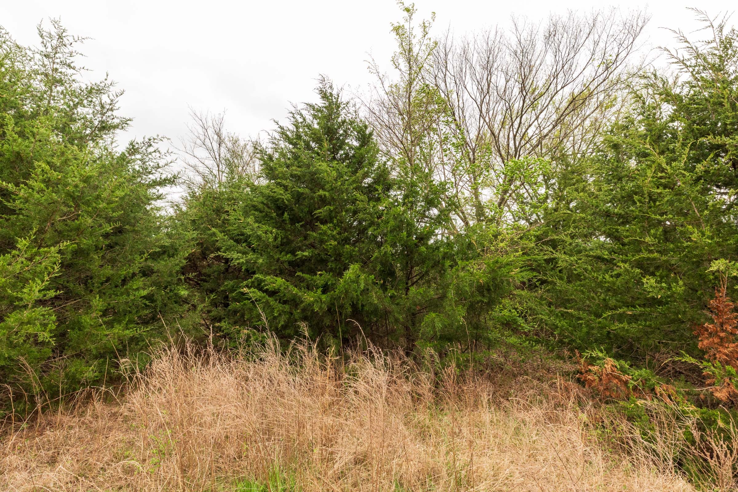Moonrise Meadows Tract 13 photo 16
