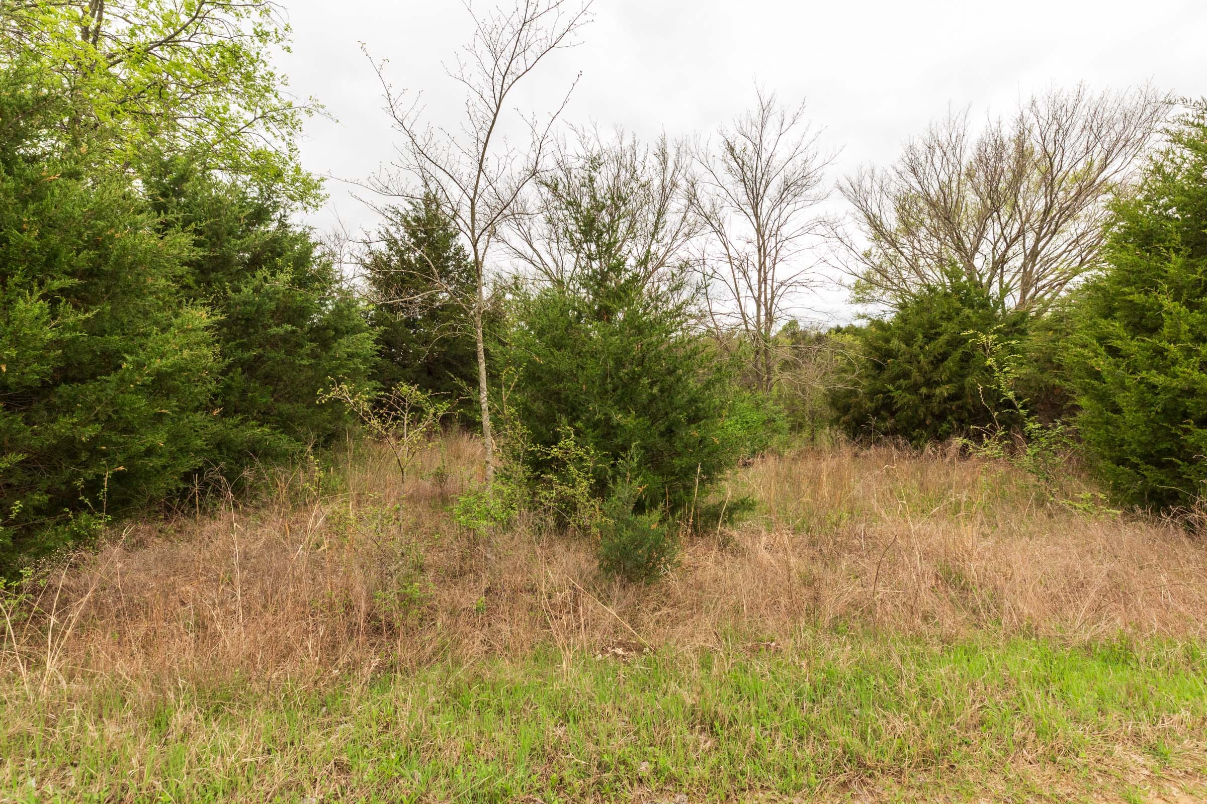 Moonrise Meadows Tract 13 photo 18