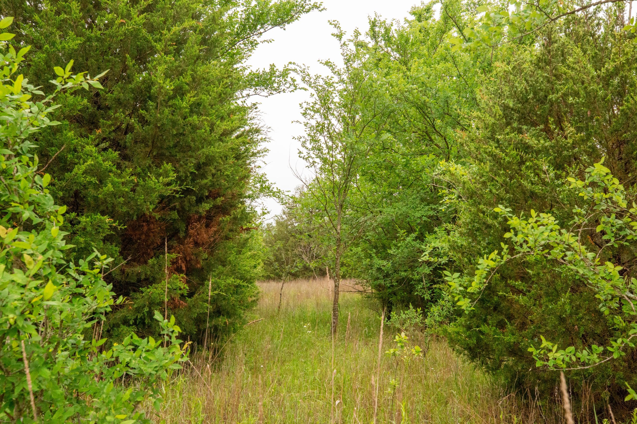 Moonrise Meadows Tract 13 photo 2