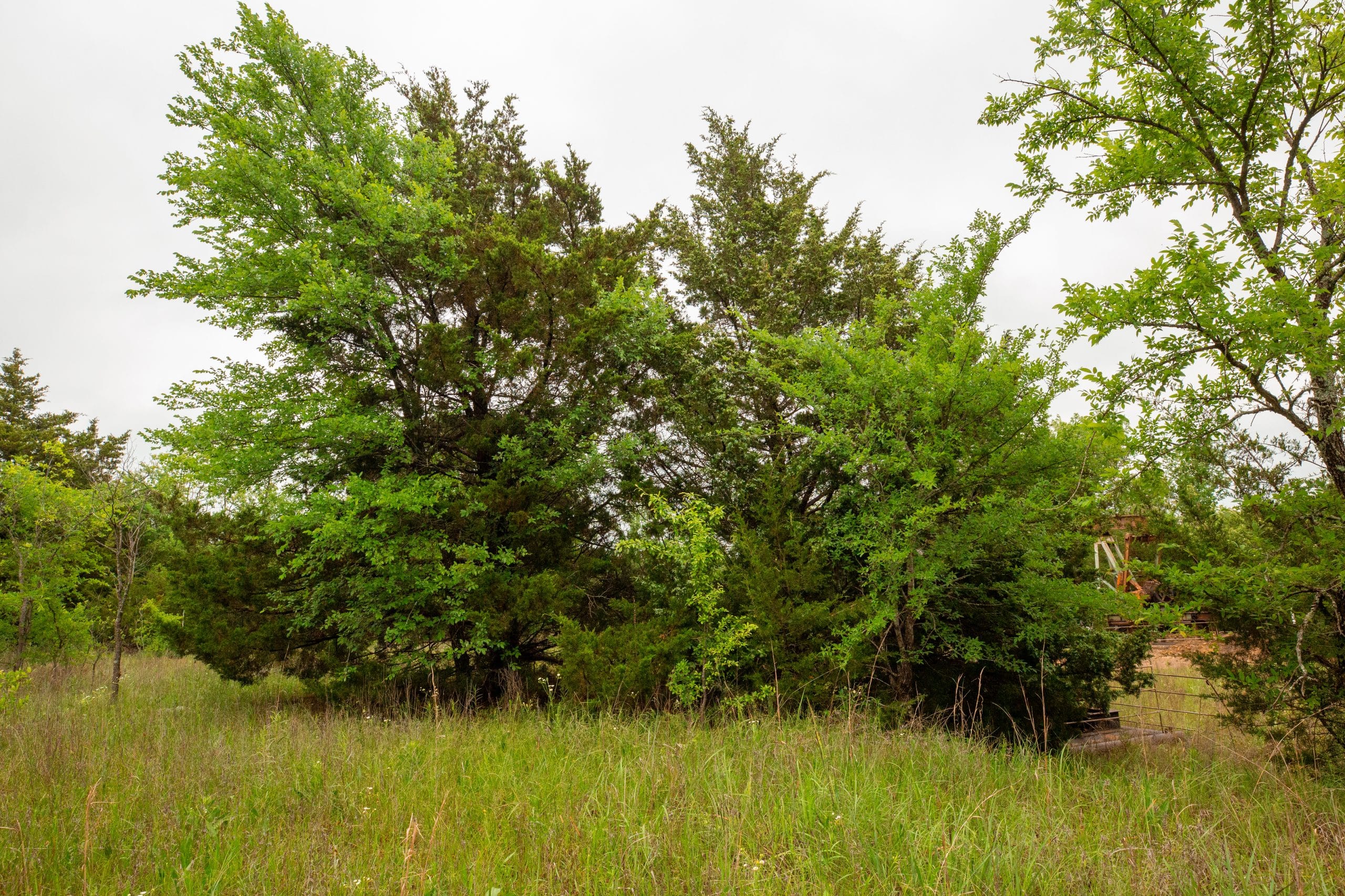 Moonrise Meadows Tract 13 photo 5