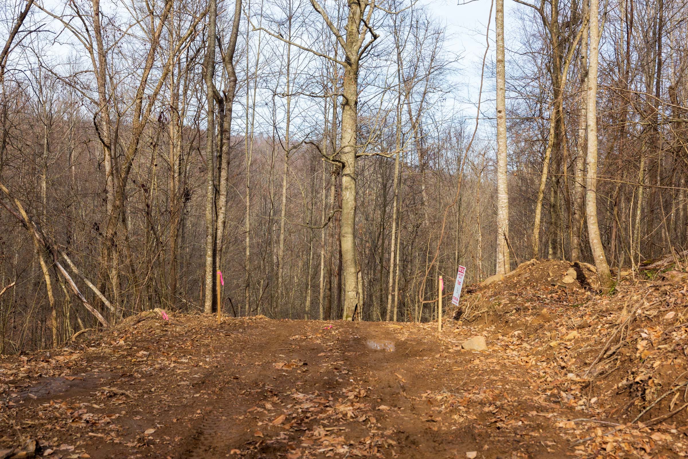 Blackstone Mountain Phase II Tract 55 photo 5