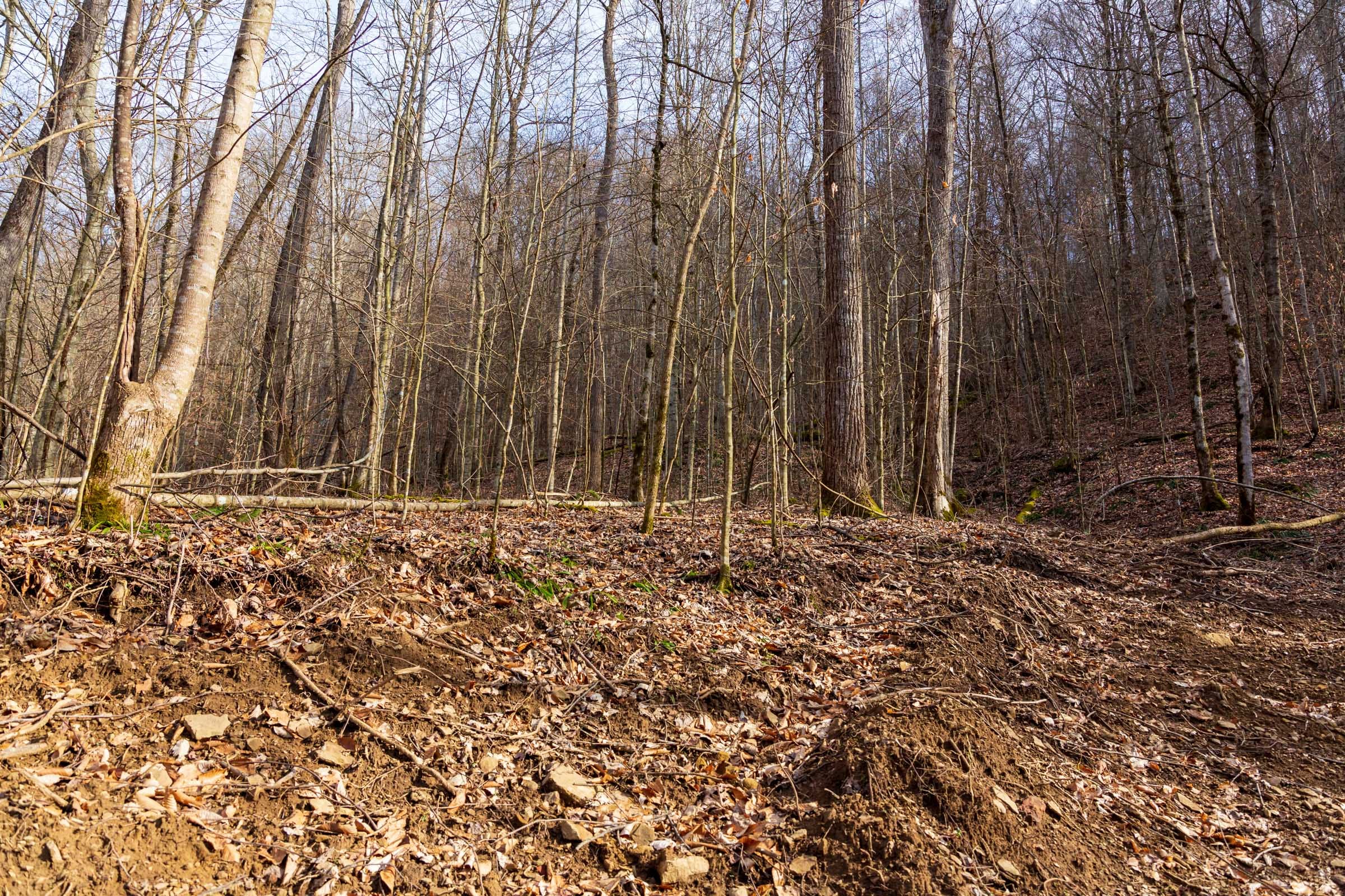 Blackstone Mountain Phase II Tract 55 photo 2