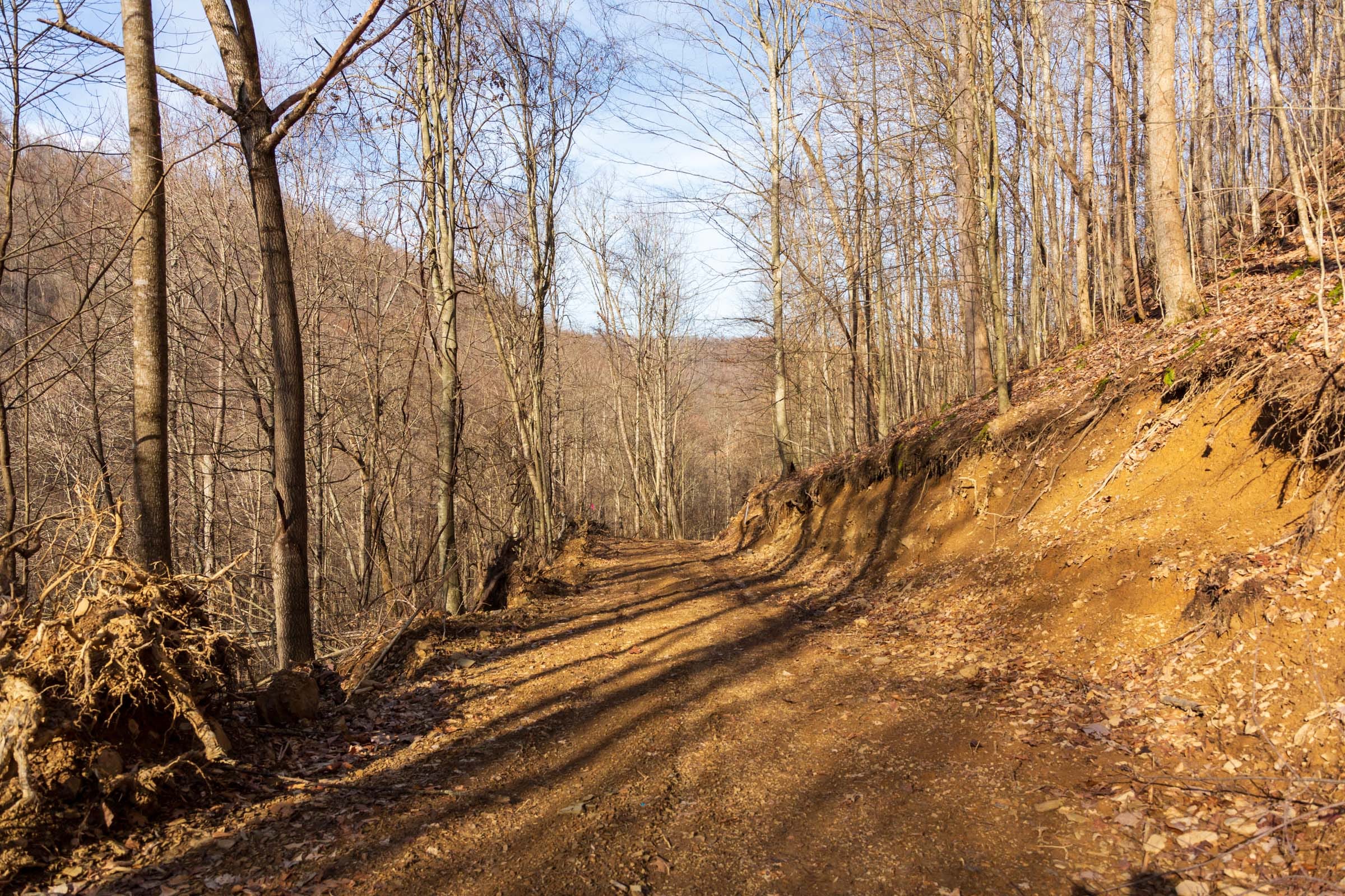 Blackstone Mountain Phase II Tract 55 photo 1