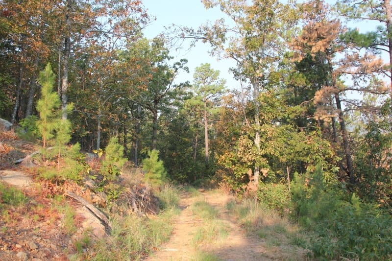 Lake View Ranch Tract 39 photo 1