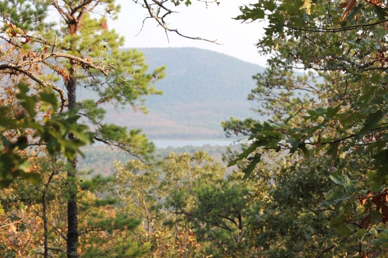 Lake View Ranch Tract 39 photo 2