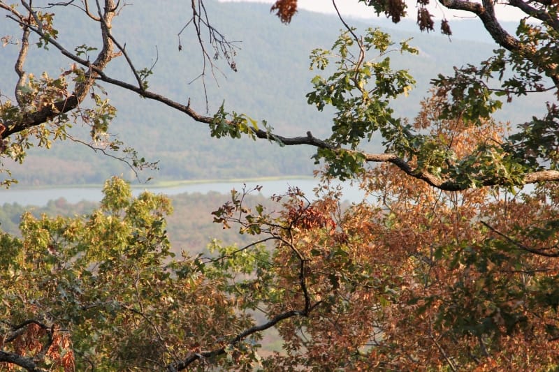 Lake View Ranch Tract 39 photo 3