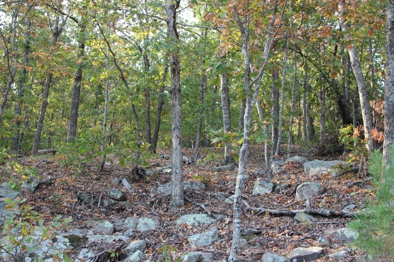 Lake View Ranch Tract 39 photo 5