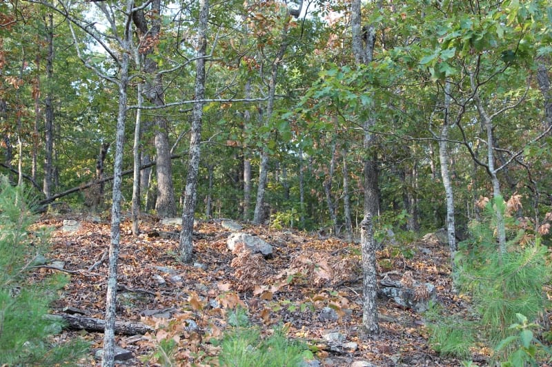 Lake View Ranch Tract 39 photo 6