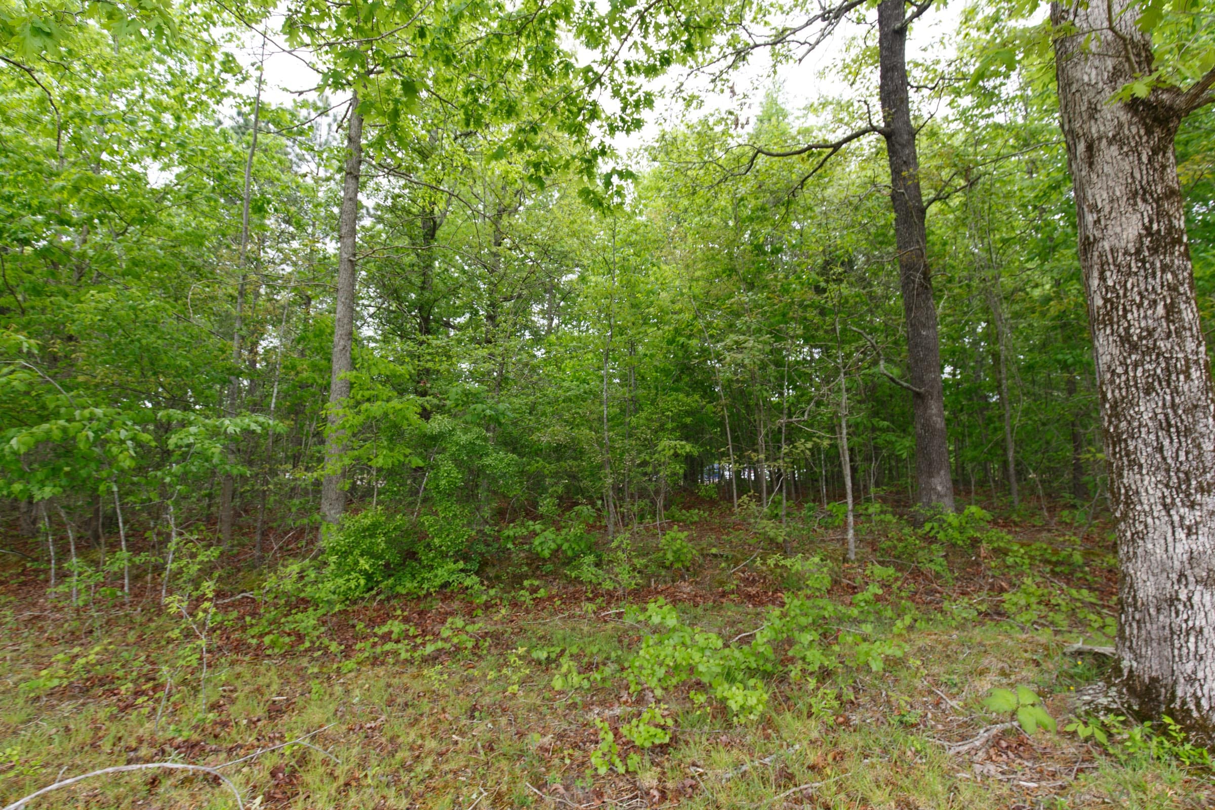Red Barn Ranch Tract 3 photo 2
