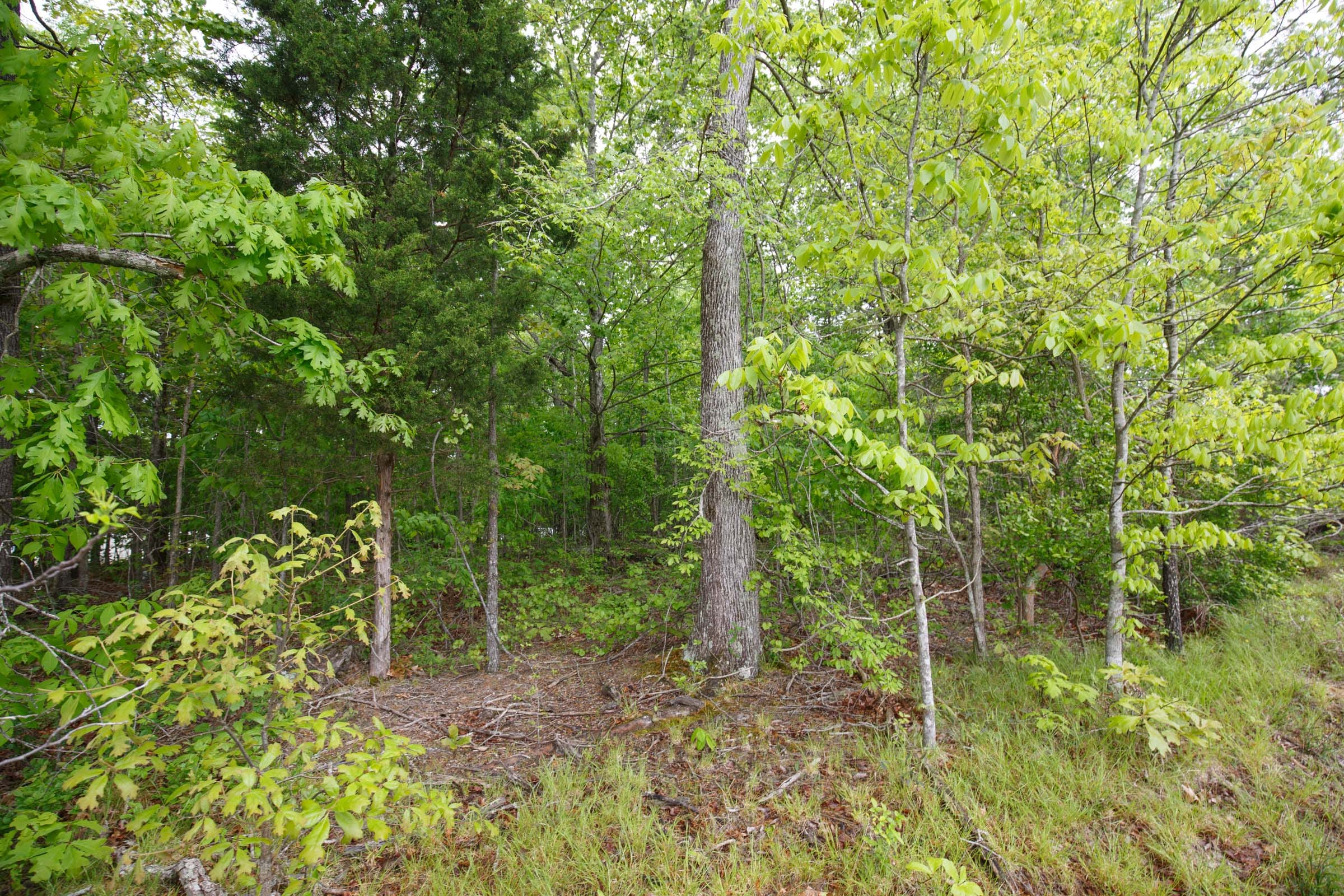 Red Barn Ranch Tract 3 photo 3