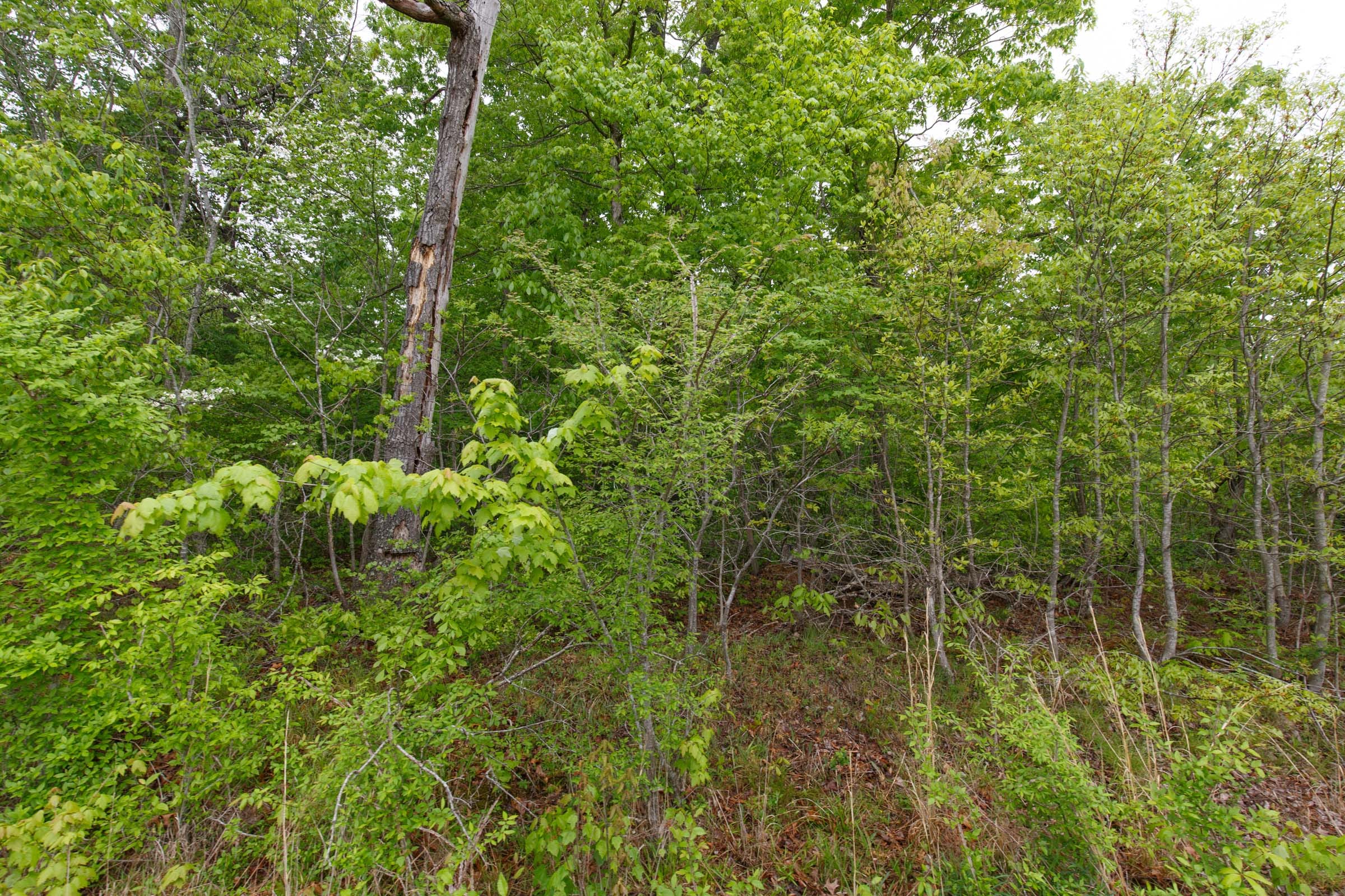 Red Barn Ranch Tract 3 photo 4