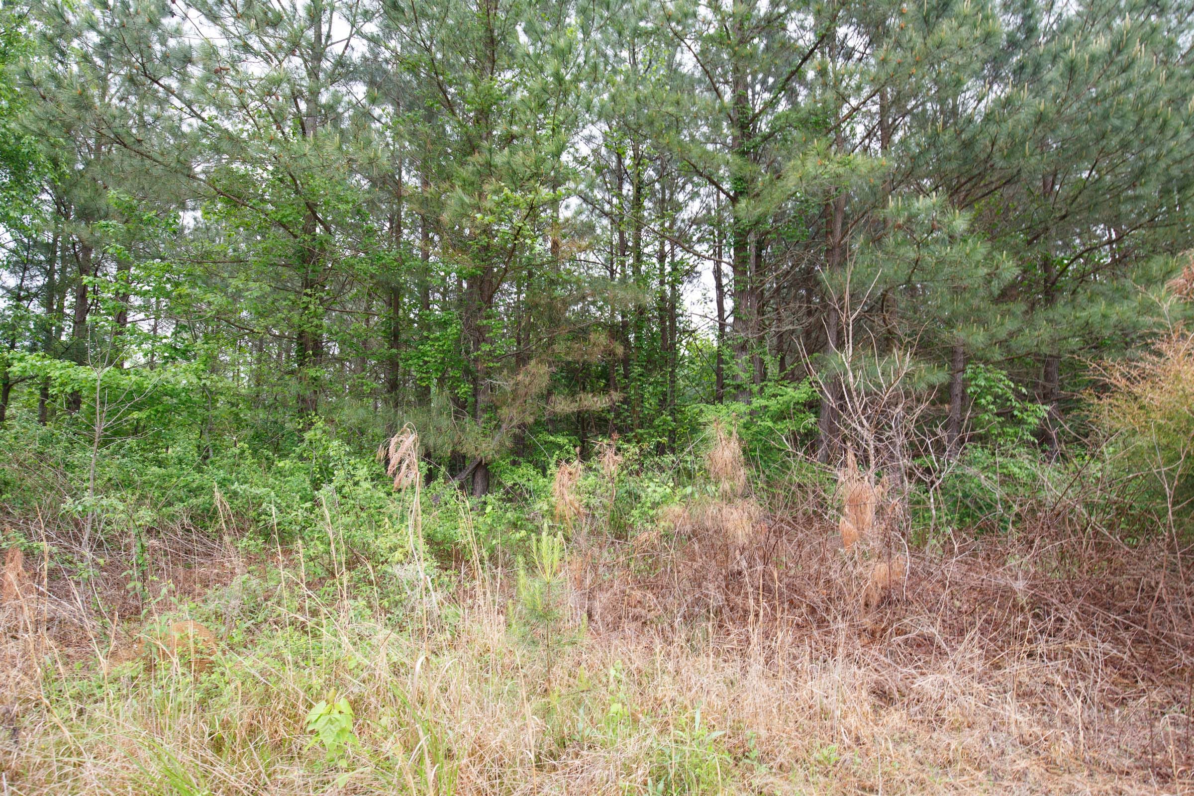 Red Barn Ranch Tract 3 photo 8