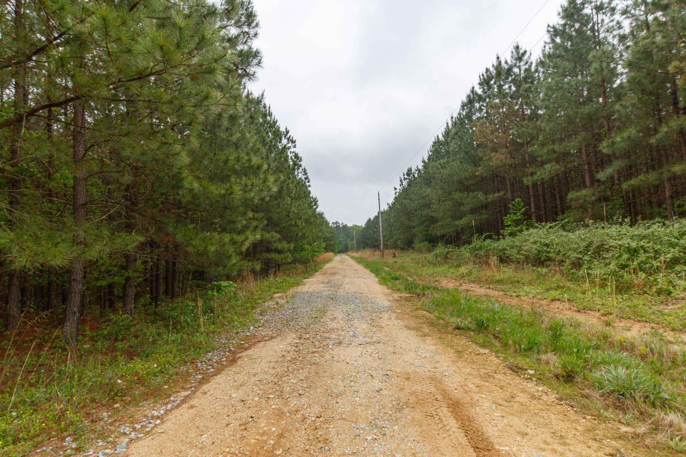 Red Barn Ranch Tract 3 photo 6