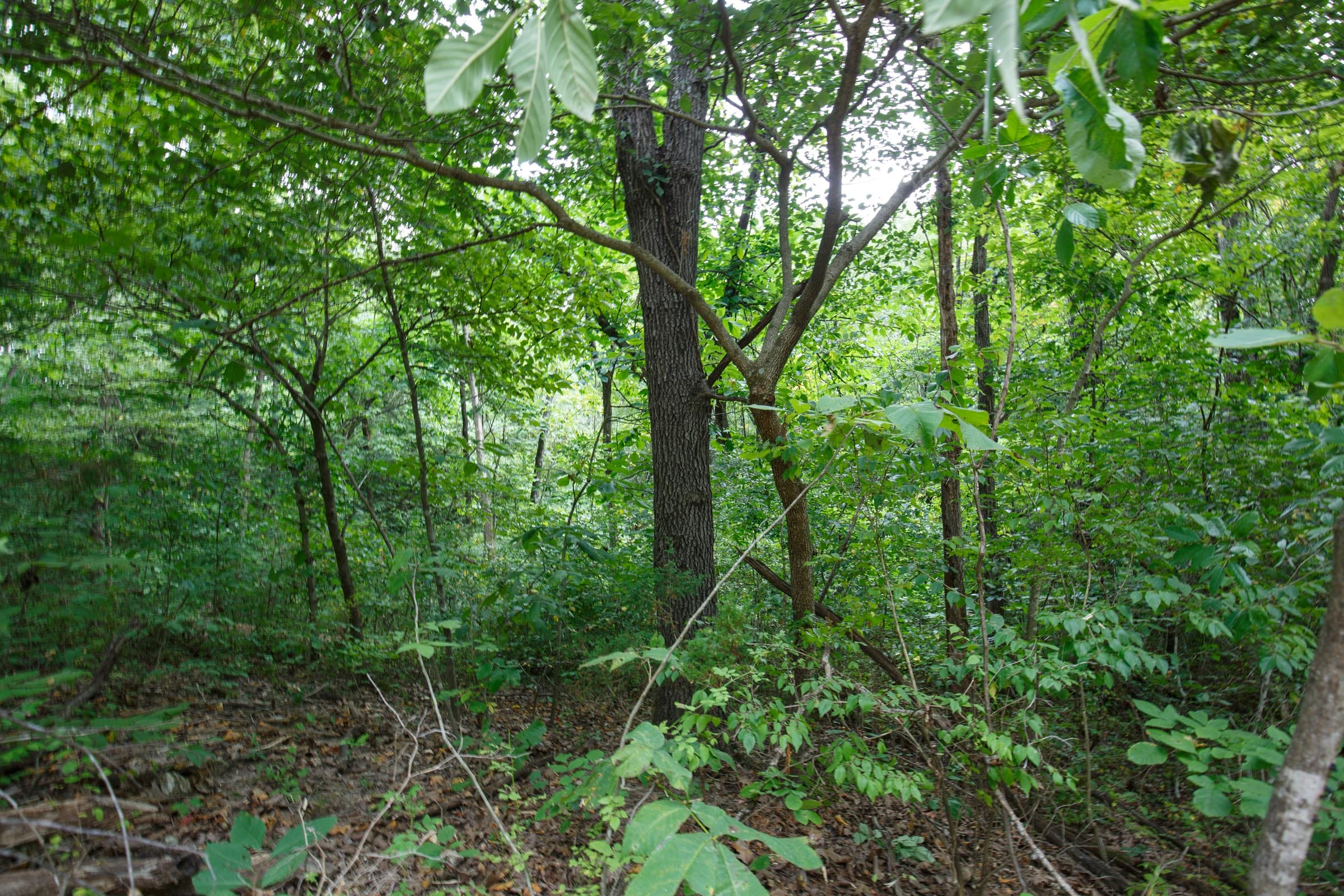 Spring Lake Plat 2 Tract 68 photo 2