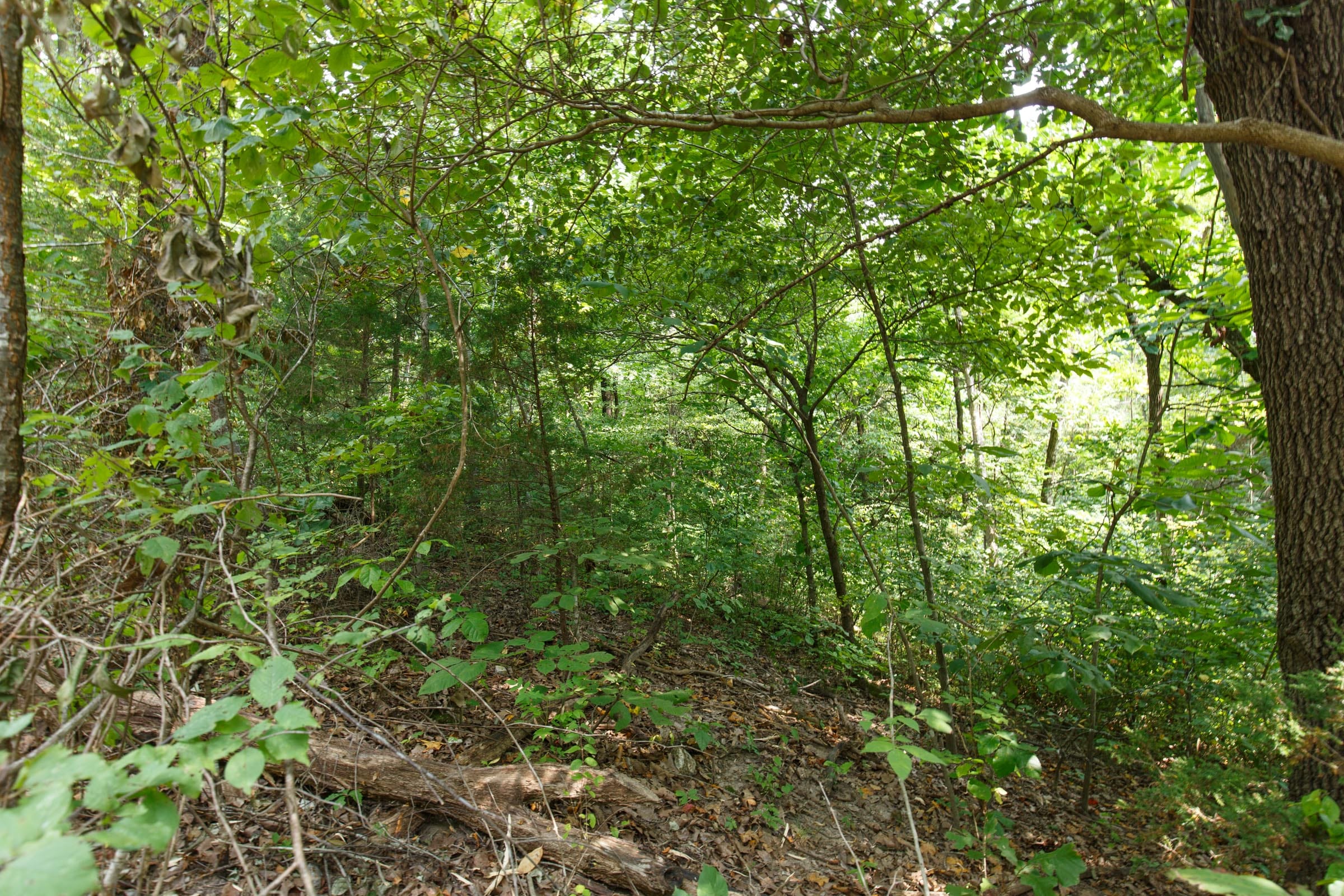 Spring Lake Plat 2 Tract 68 photo 4