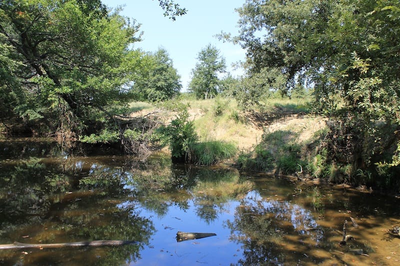 Daisy Meadows Tract 38 photo 2