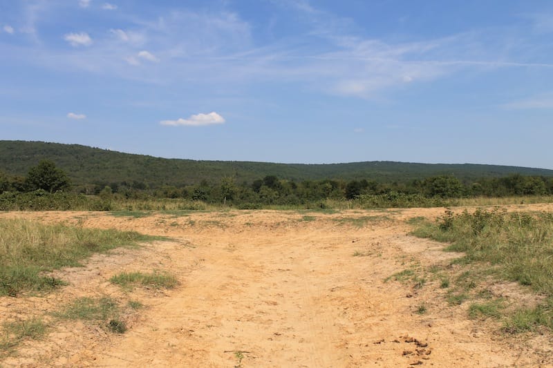 Daisy Meadows Tract 38 photo 1