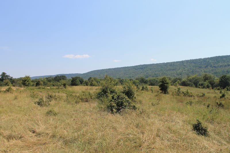 Daisy Meadows Tract 38 photo 3