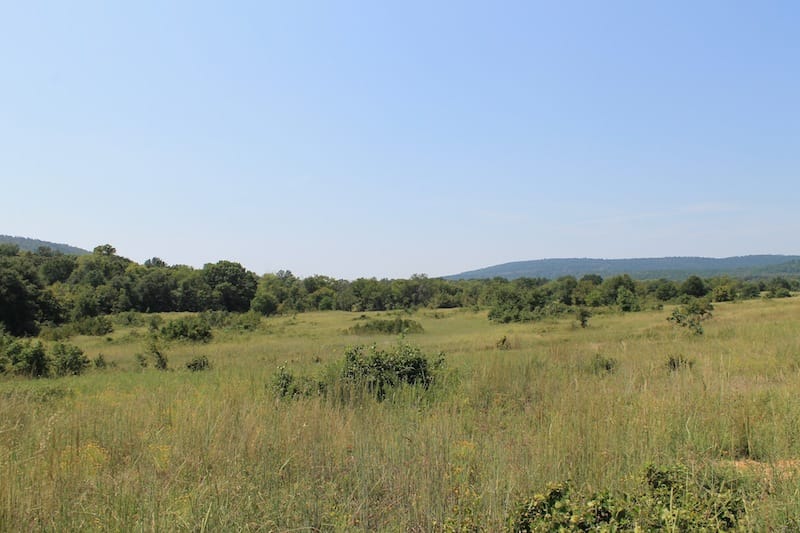 Daisy Meadows Tract 38 photo 7