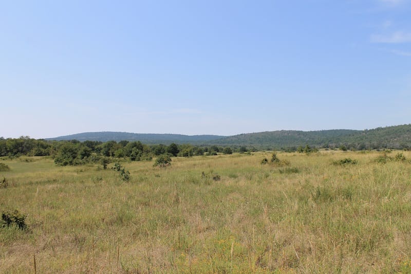 Daisy Meadows Tract 38 photo 8