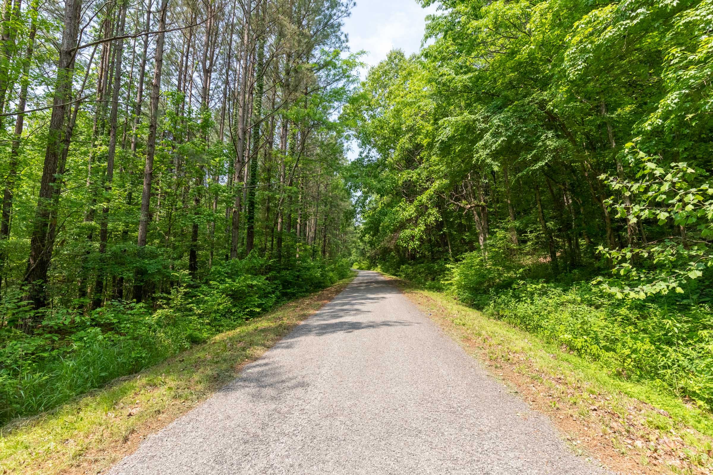 Cedar Creek Tract 42 photo 1