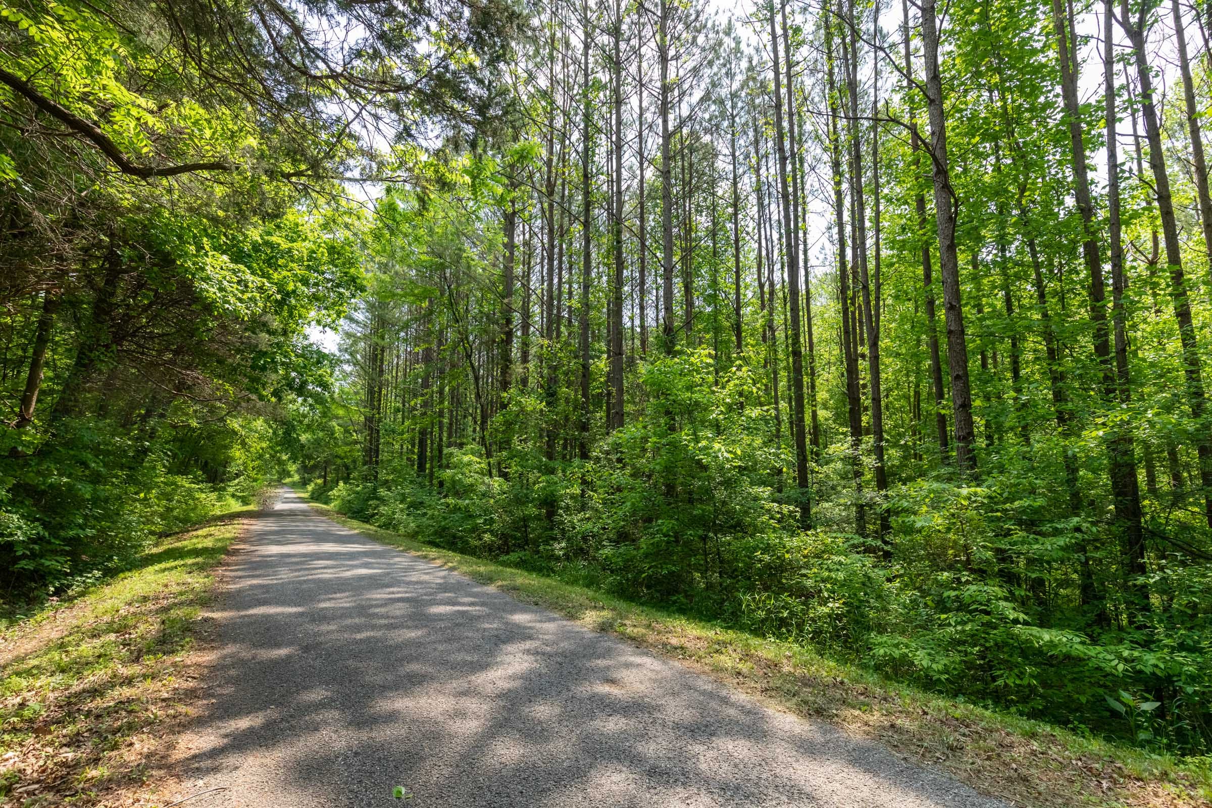 Cedar Creek Tract 42 photo 4