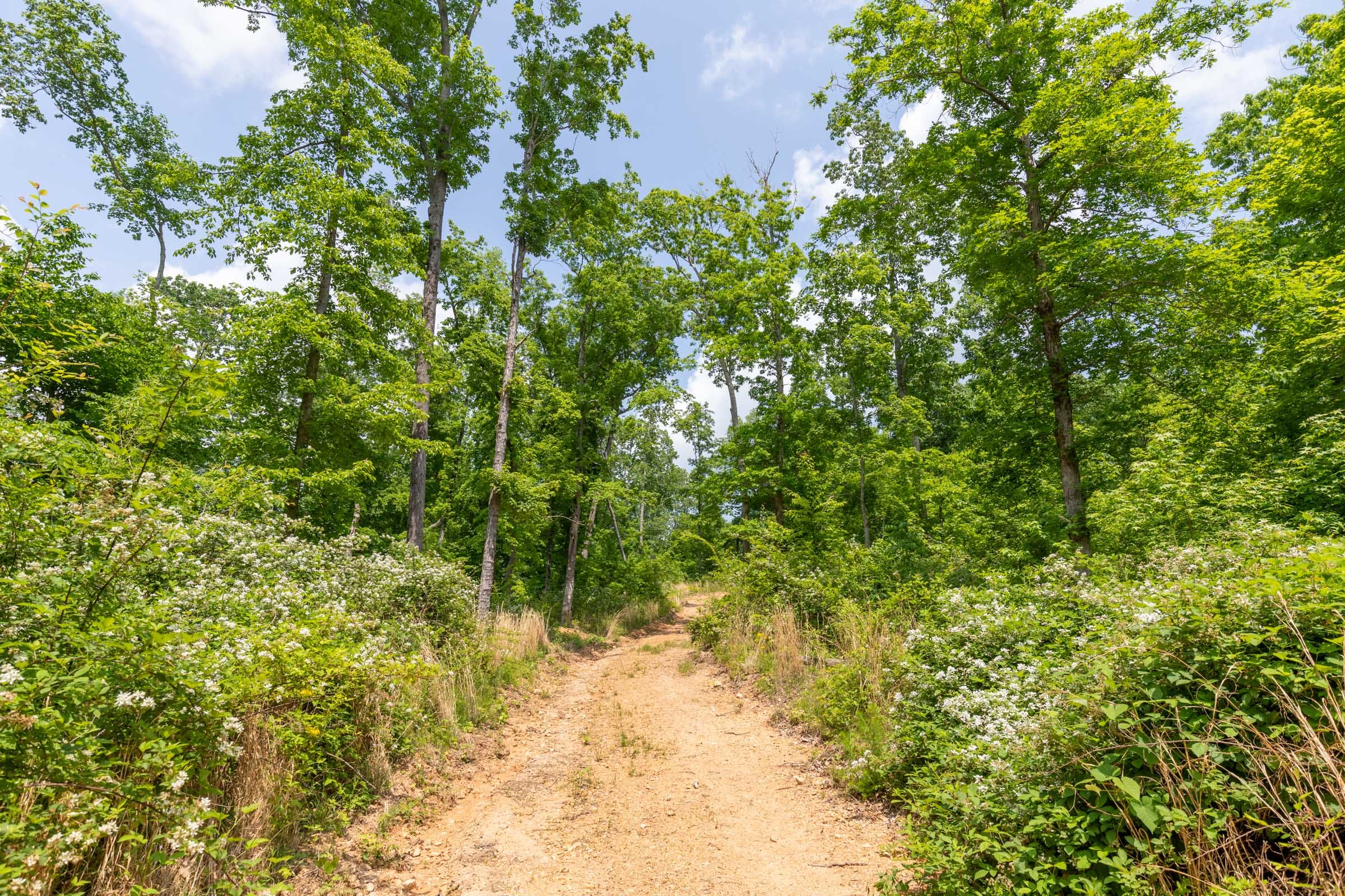 Cedar Creek Tract 42 photo 7
