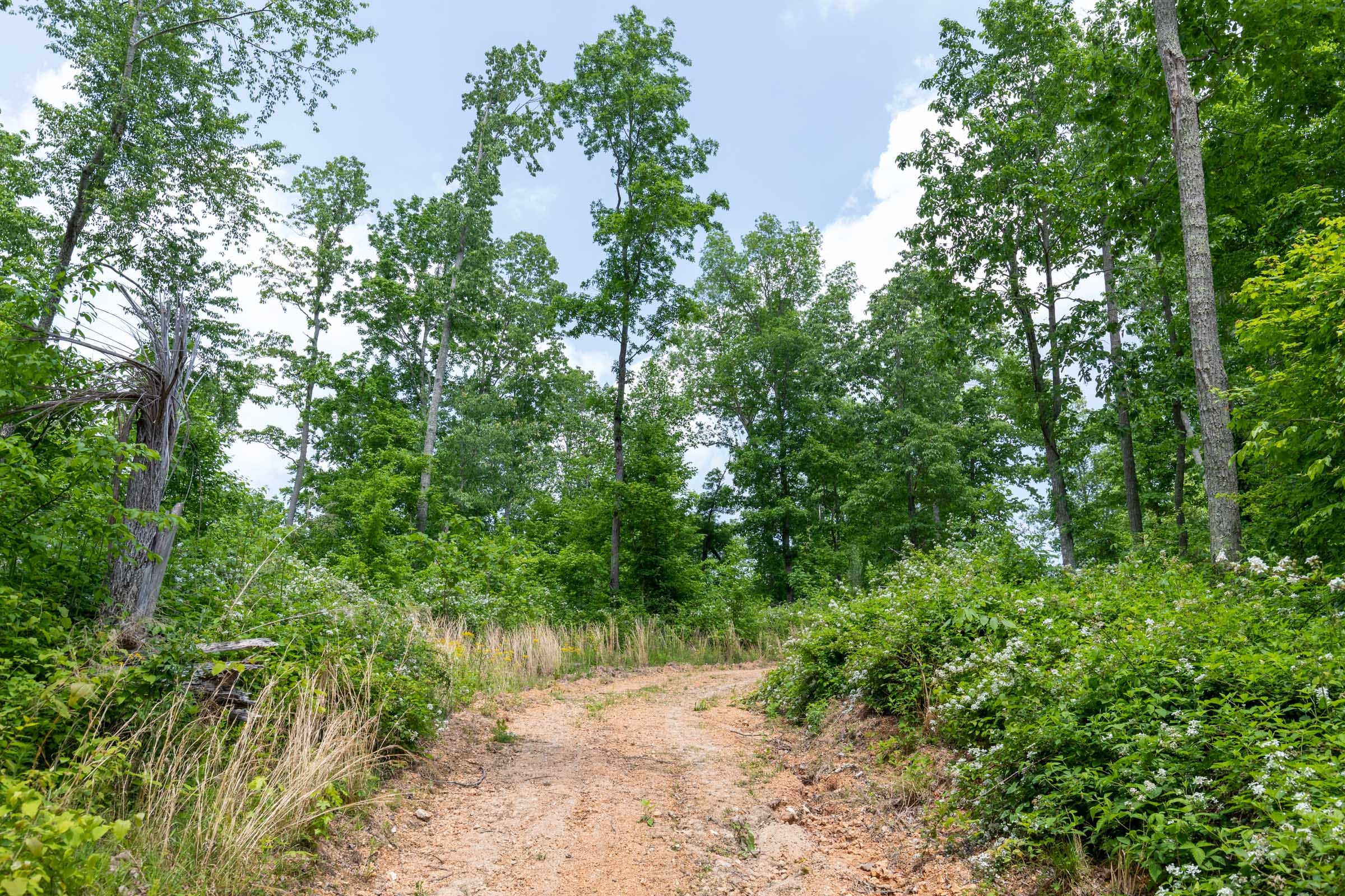 Cedar Creek Tract 42 photo 10