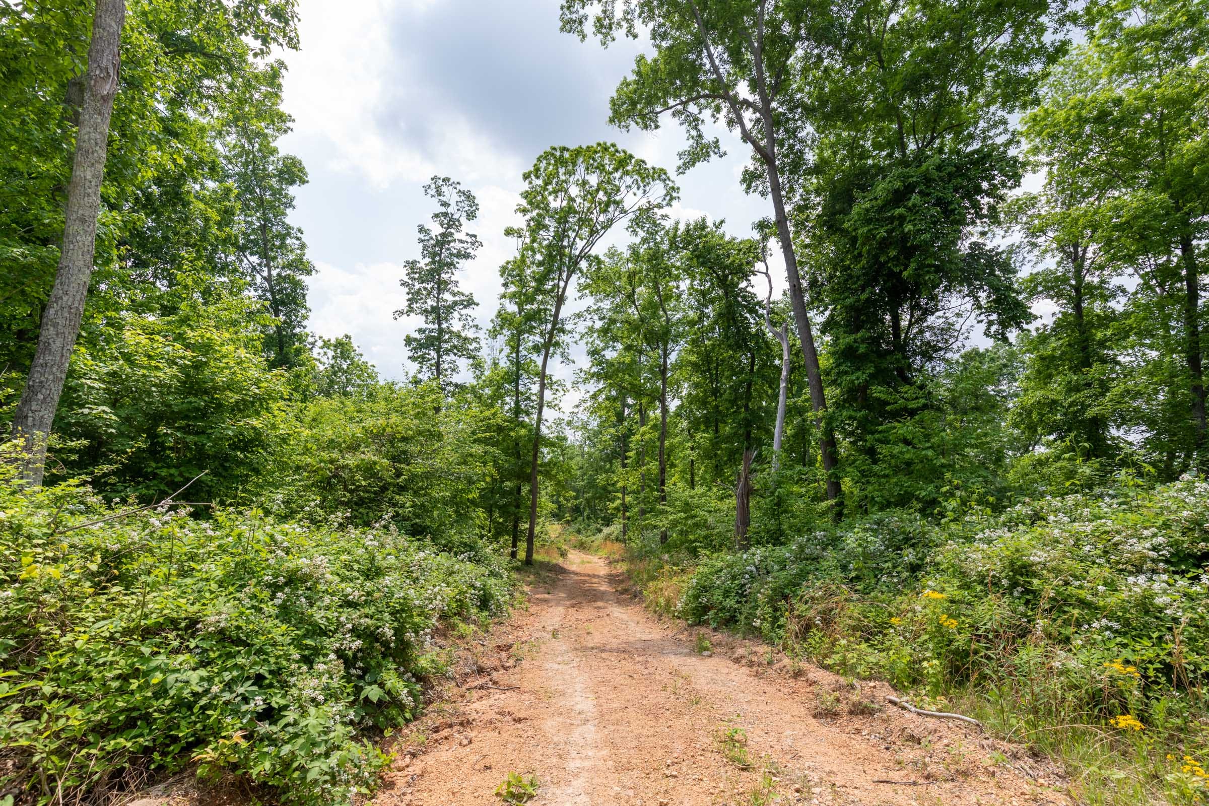 Cedar Creek Tract 42 photo 13