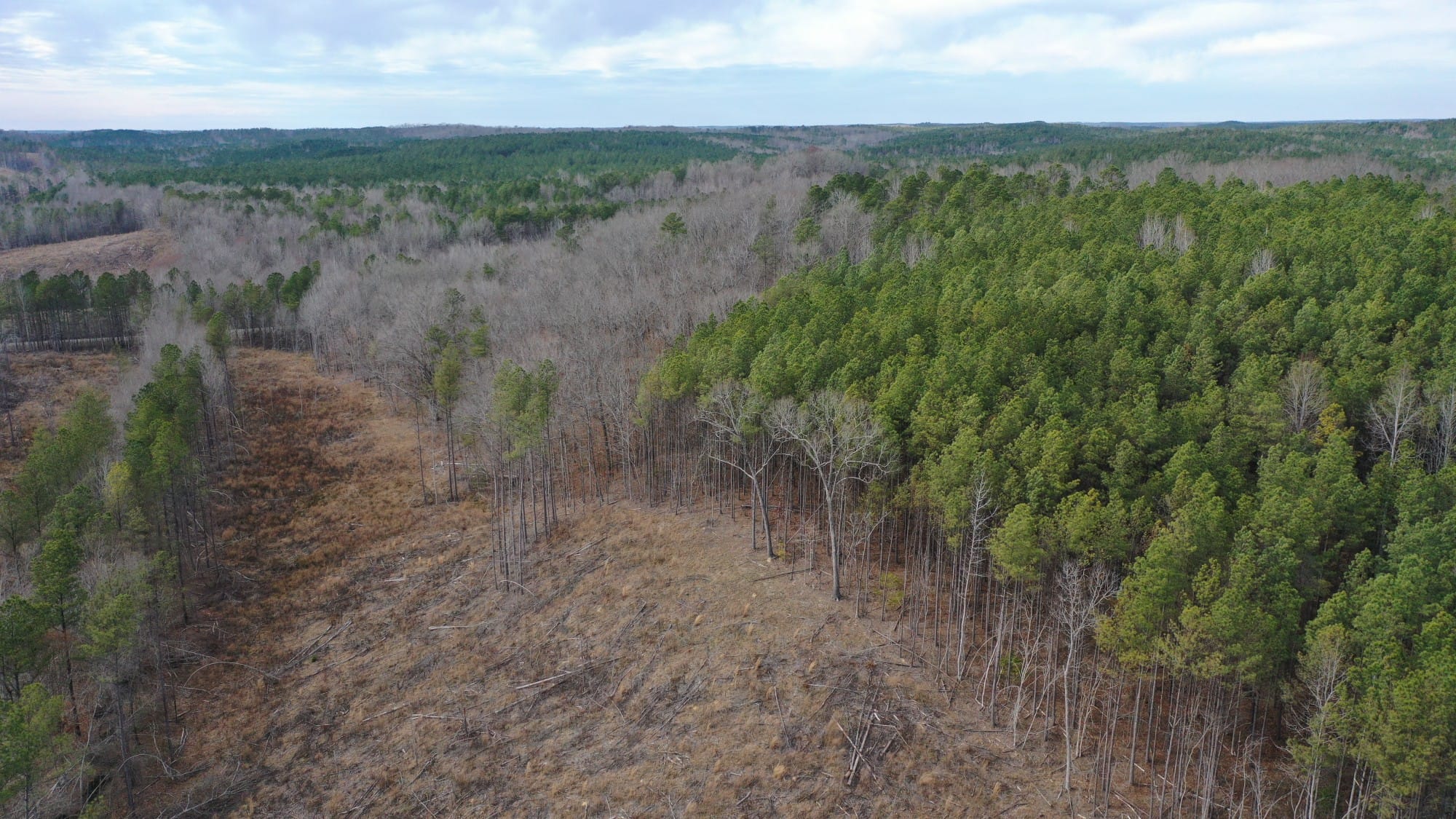 Fairview Hills Tract 6 photo 3