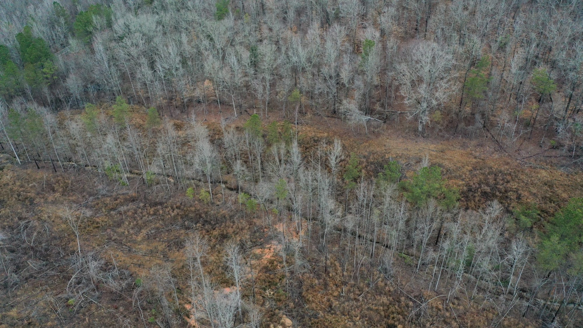 Fairview Hills Tract 6 photo 5