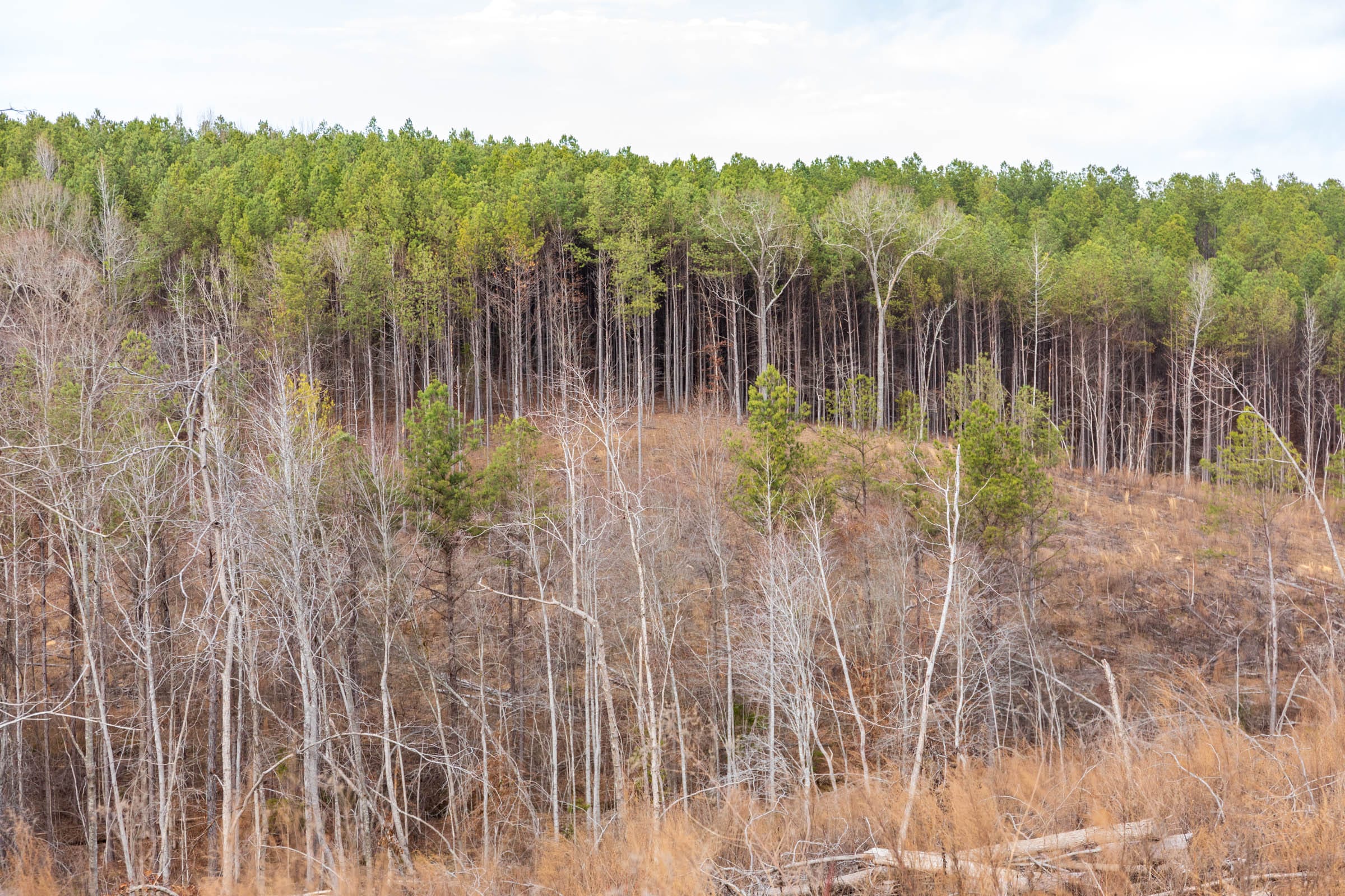 Fairview Hills Tract 6 photo 7